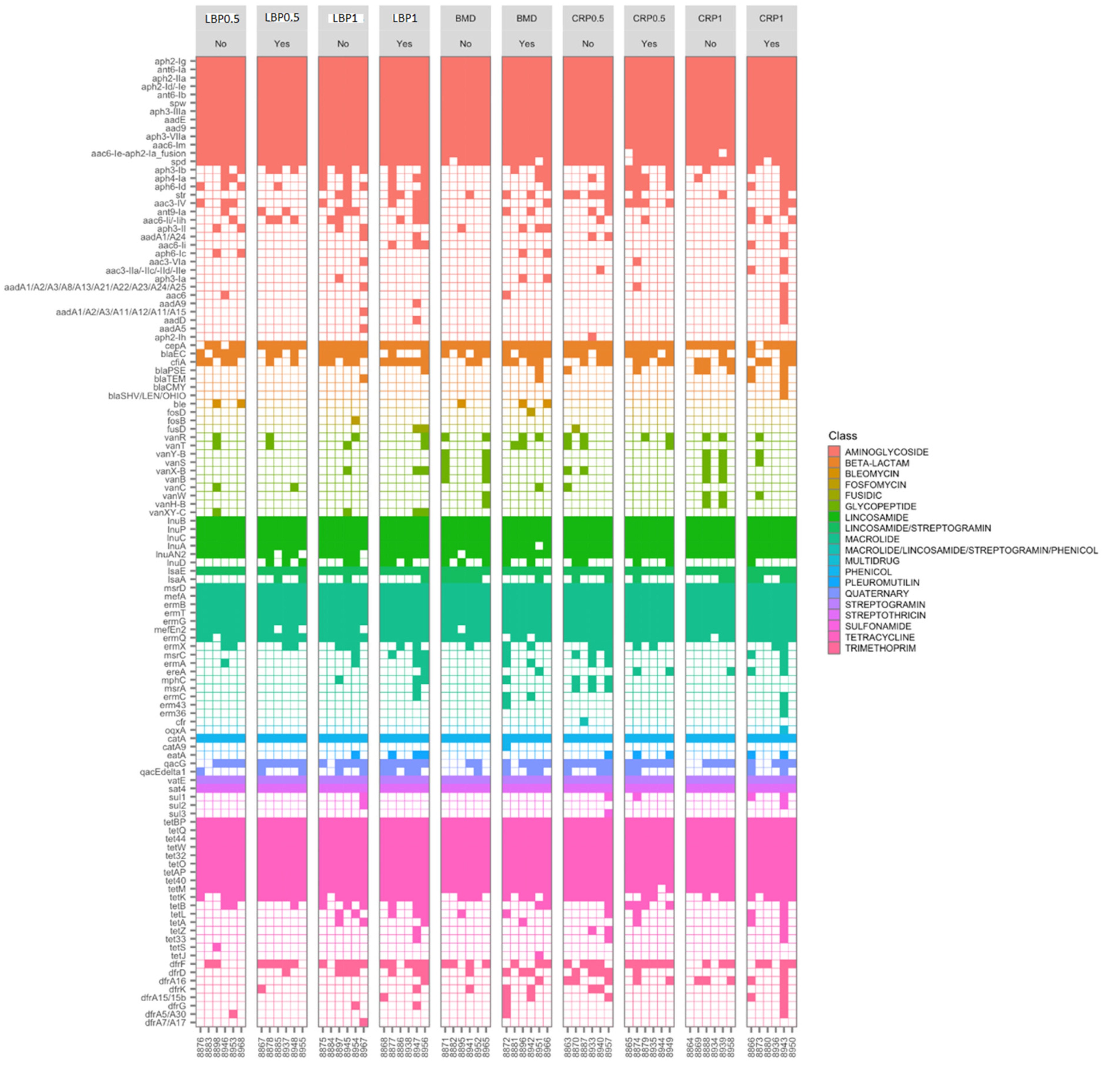 Microorganisms 13 01044 g006