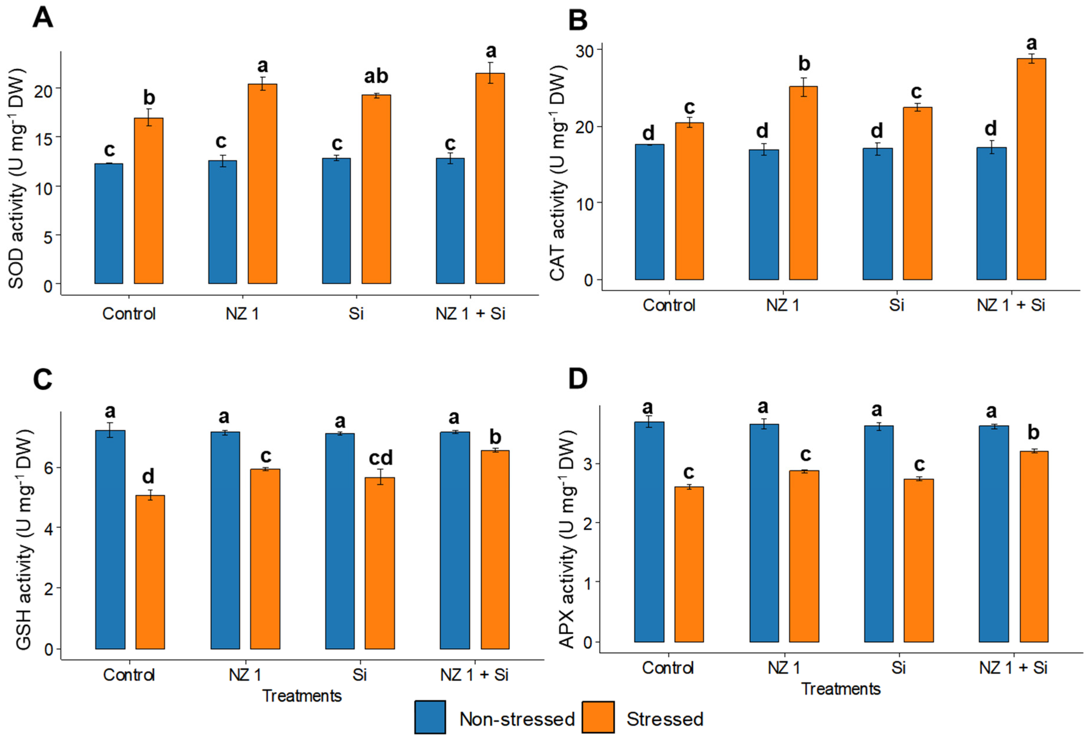 Microorganisms 13 01046 g005