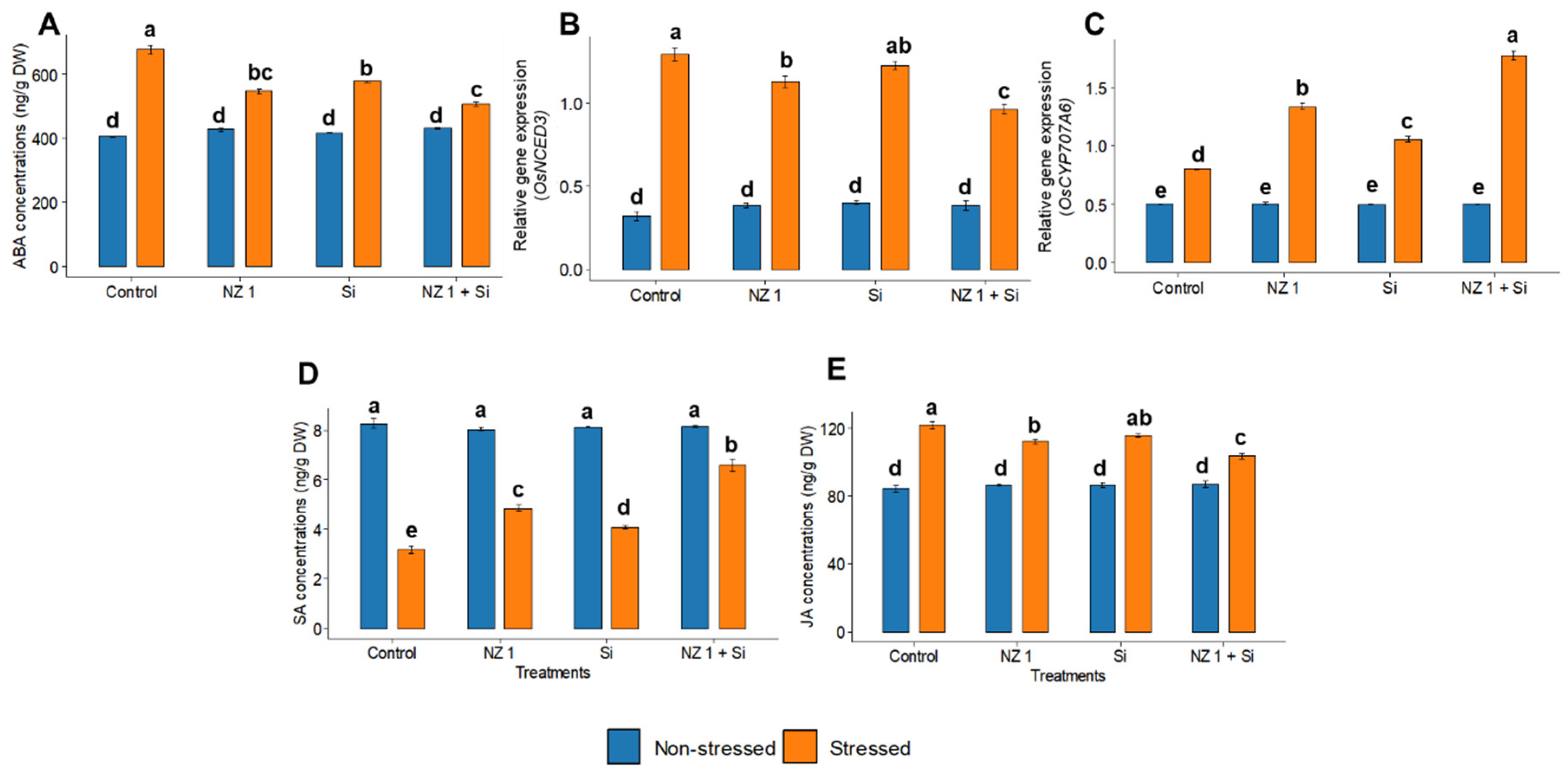 Microorganisms 13 01046 g006