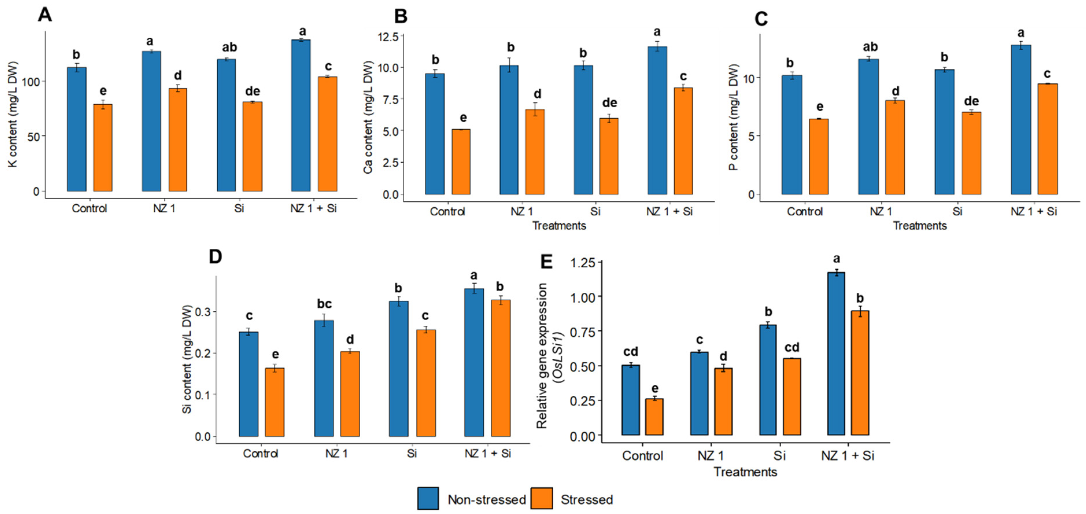 Microorganisms 13 01046 g008
