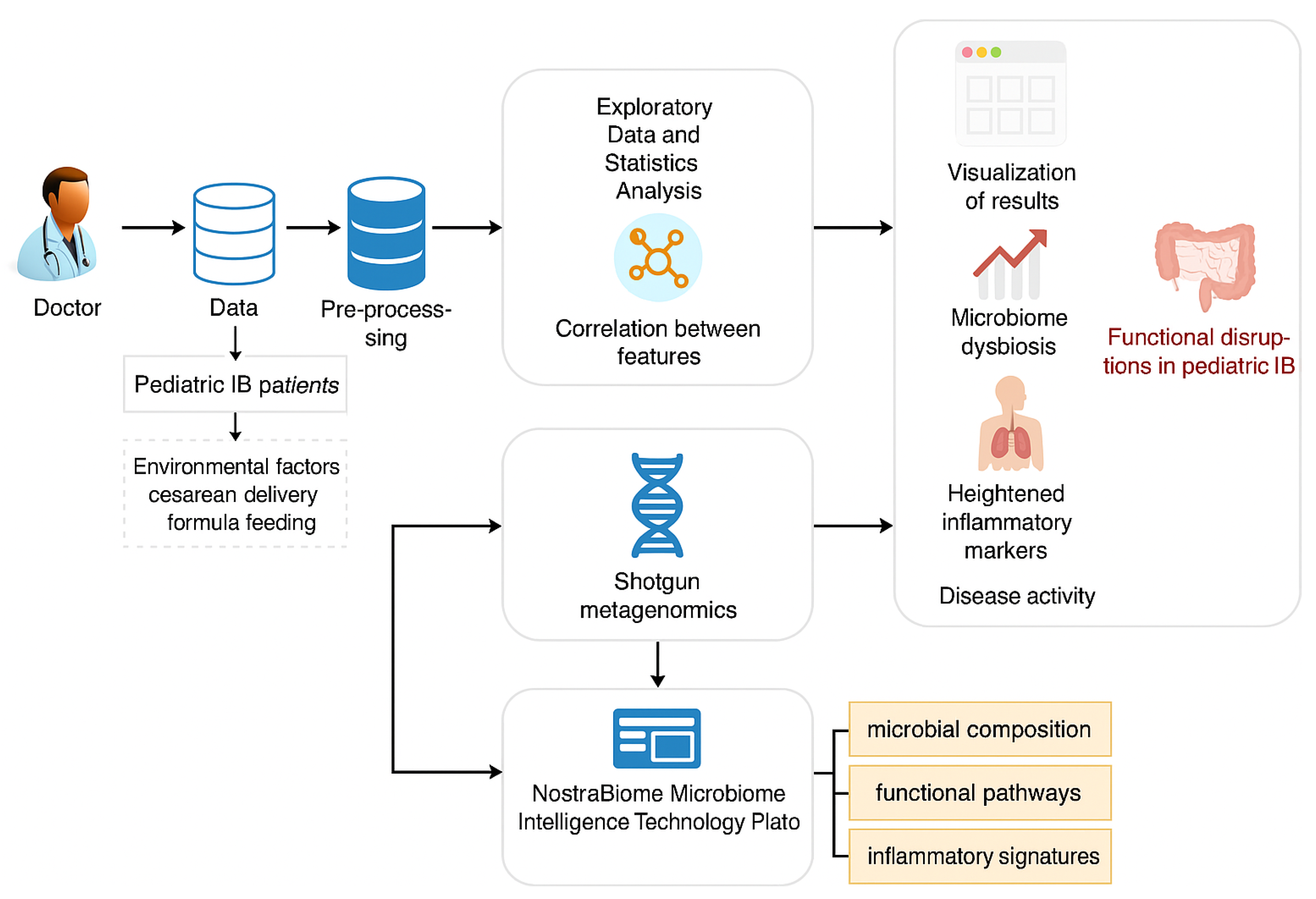 Microorganisms 13 01047 g001