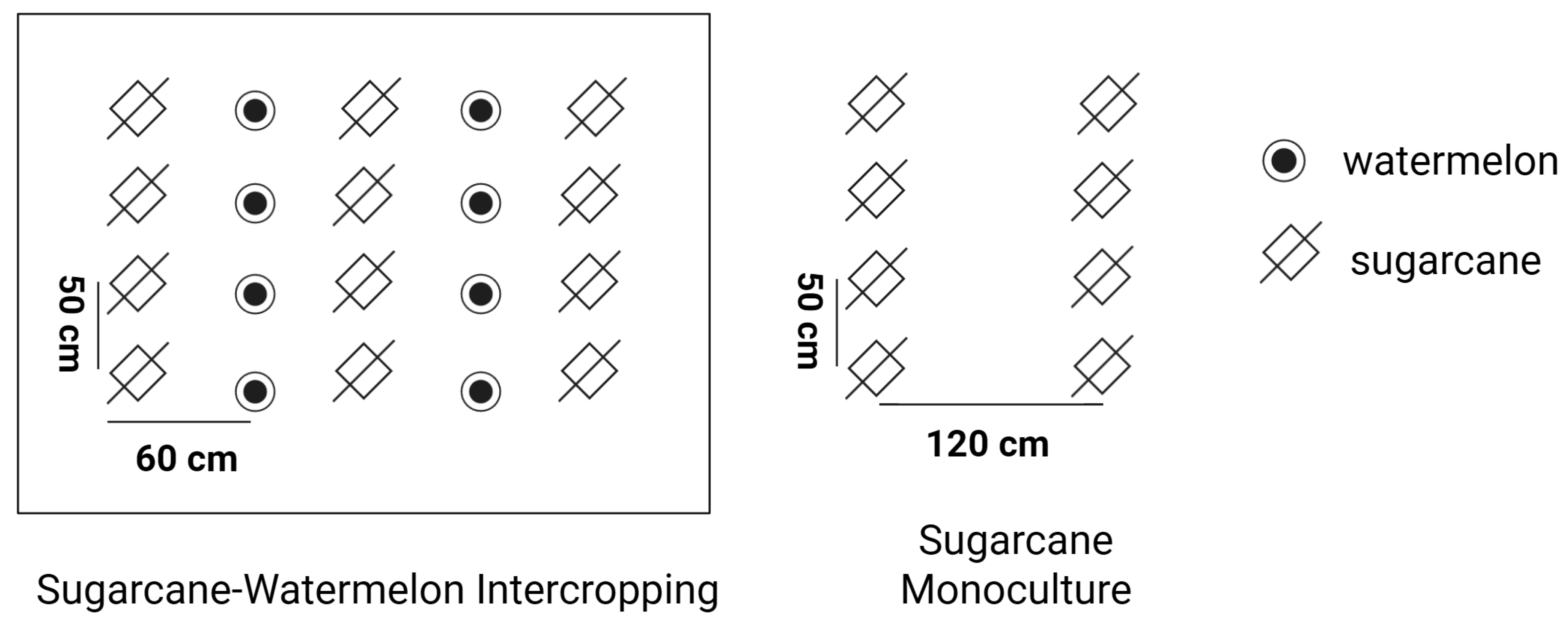 Microorganisms 13 01049 g001