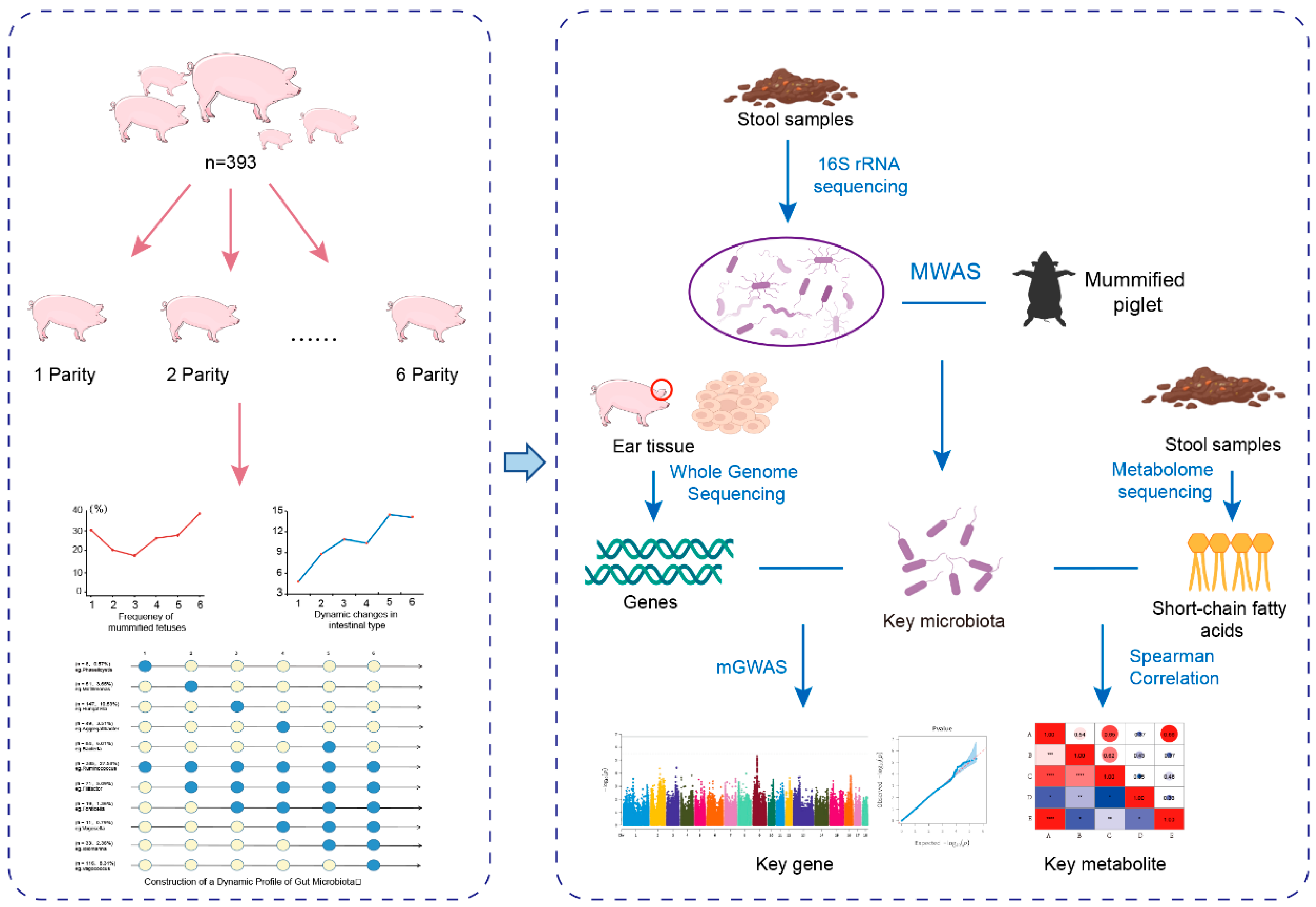 Microorganisms 13 01052 g001