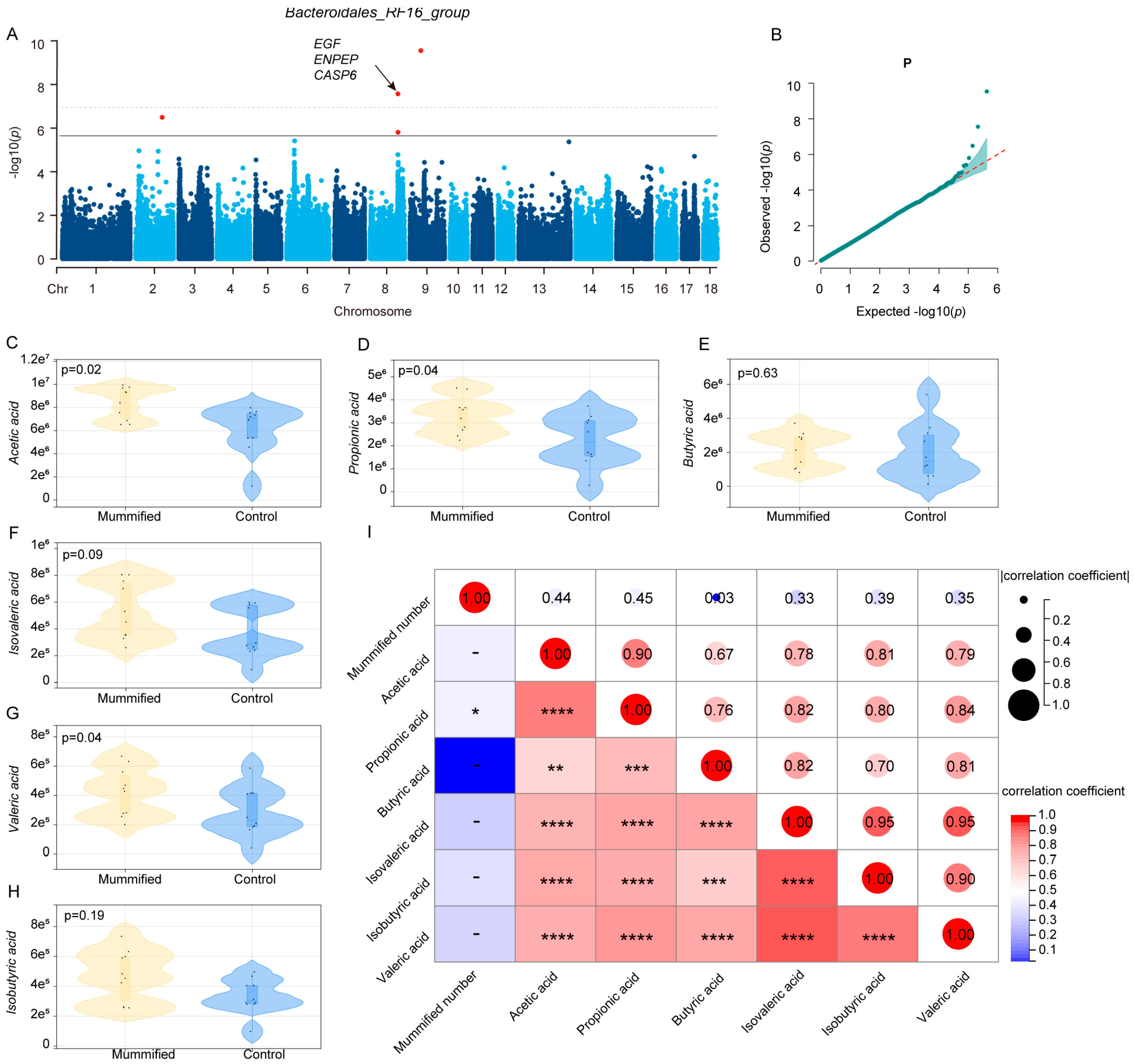 Microorganisms 13 01052 g006