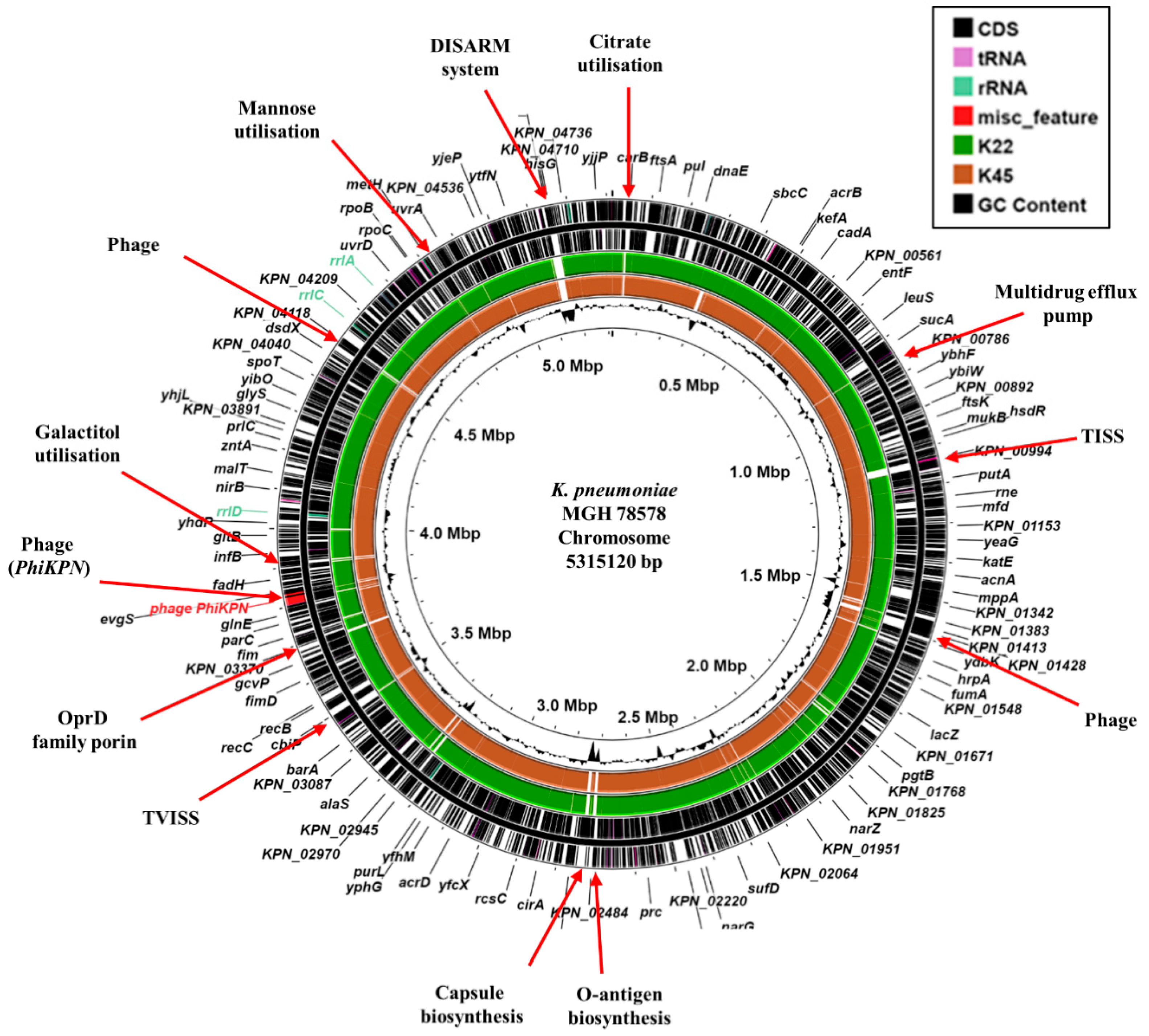 Microorganisms 13 01058 g001