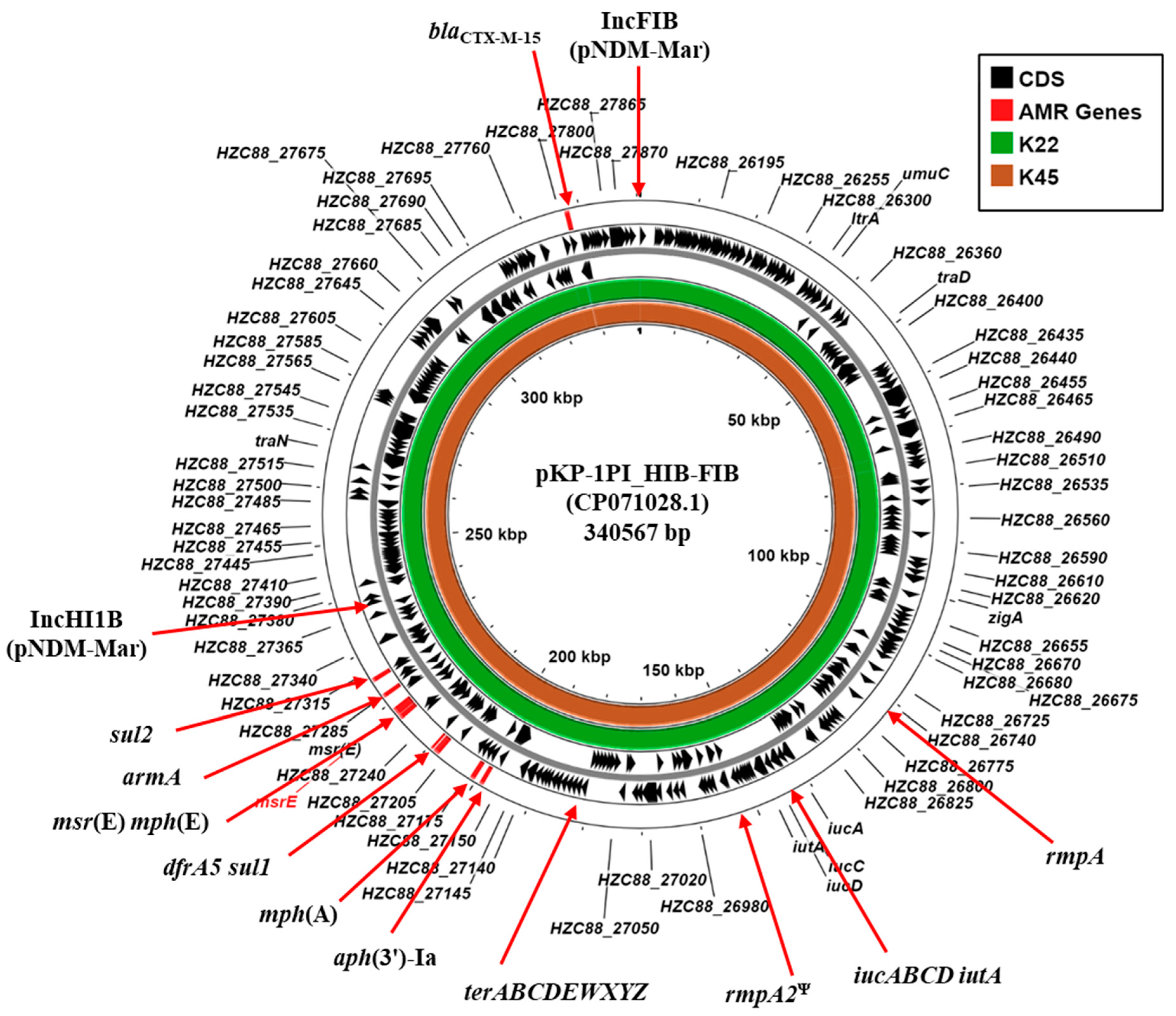 Microorganisms 13 01058 g002