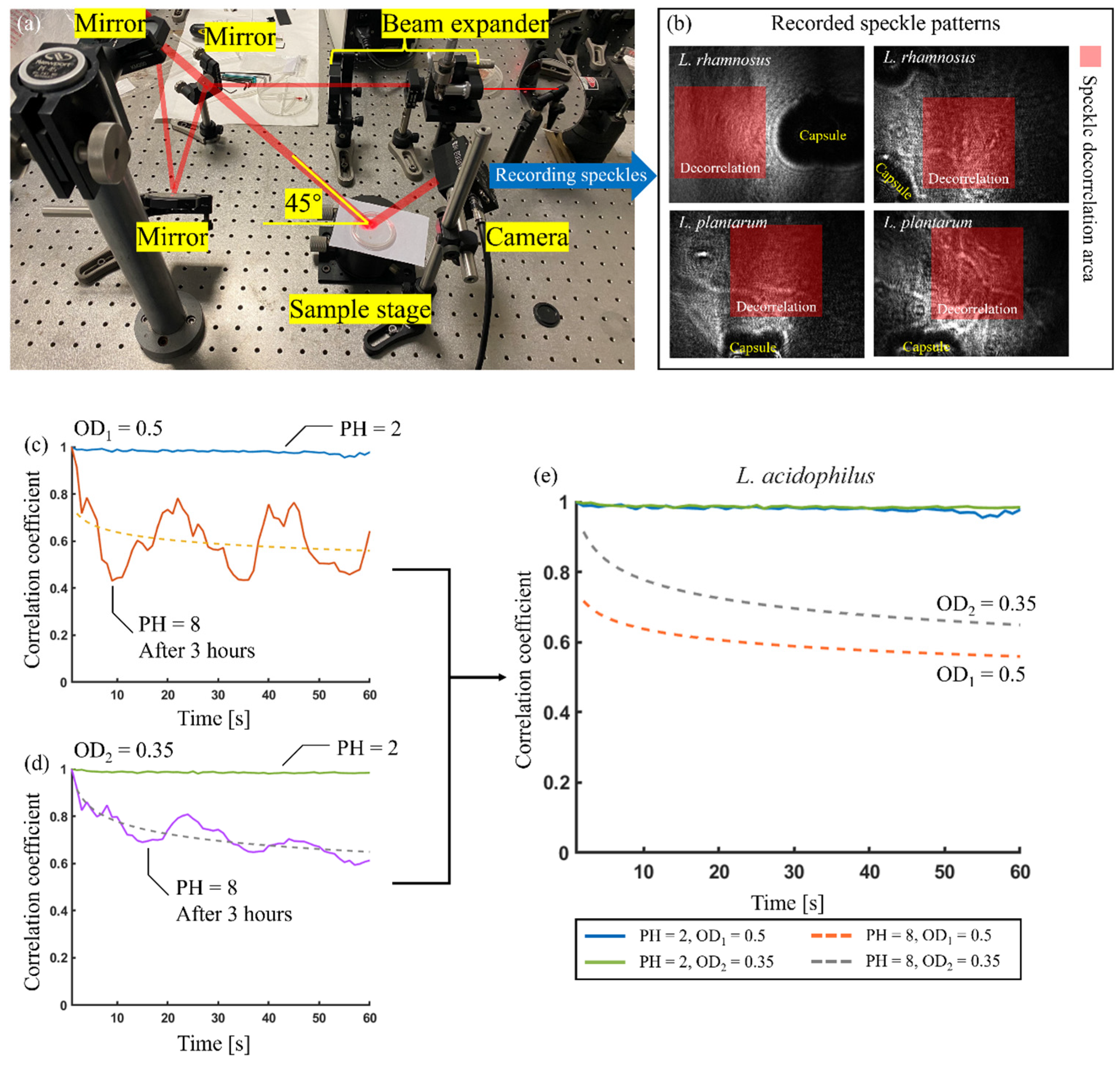 Microorganisms 13 01062 g004 Microorganisms 13 01062 g004