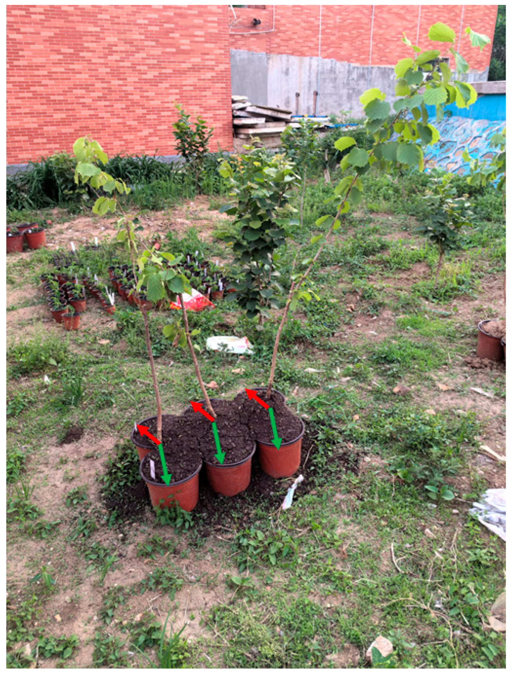 Microorganisms 13 01063 g001