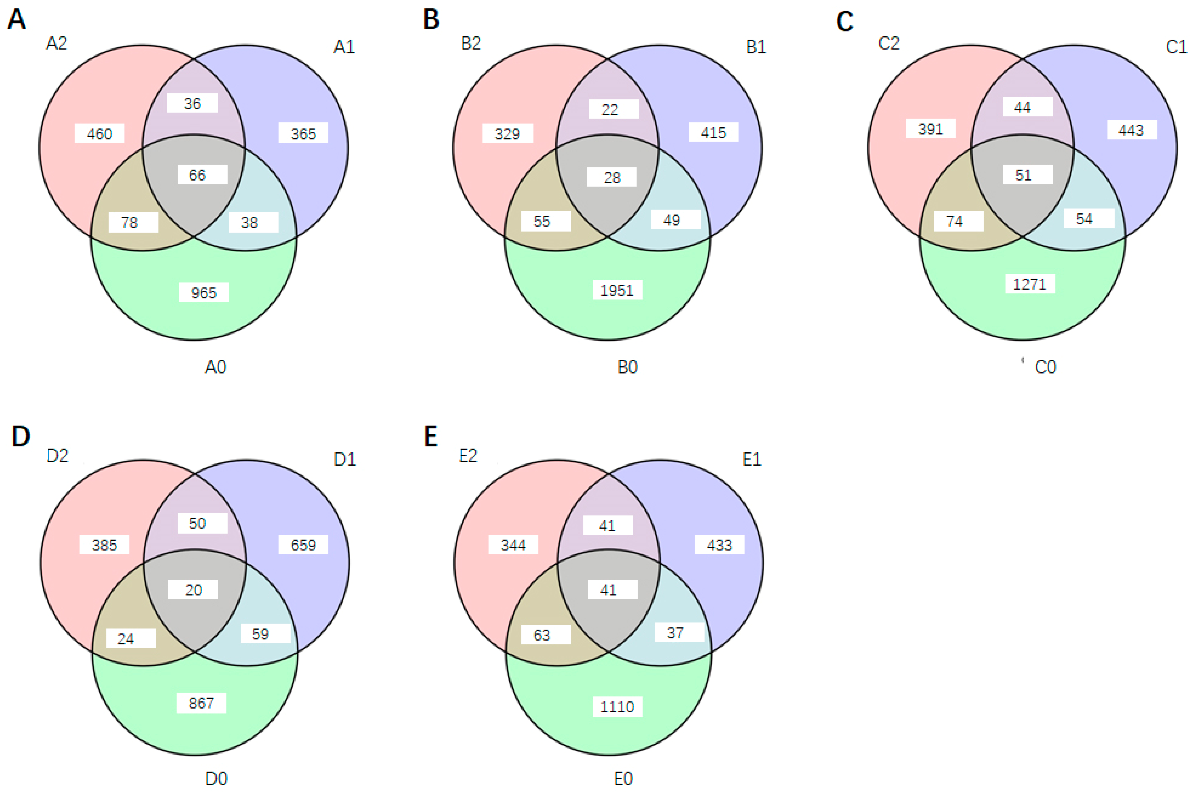 Microorganisms 13 01063 g005