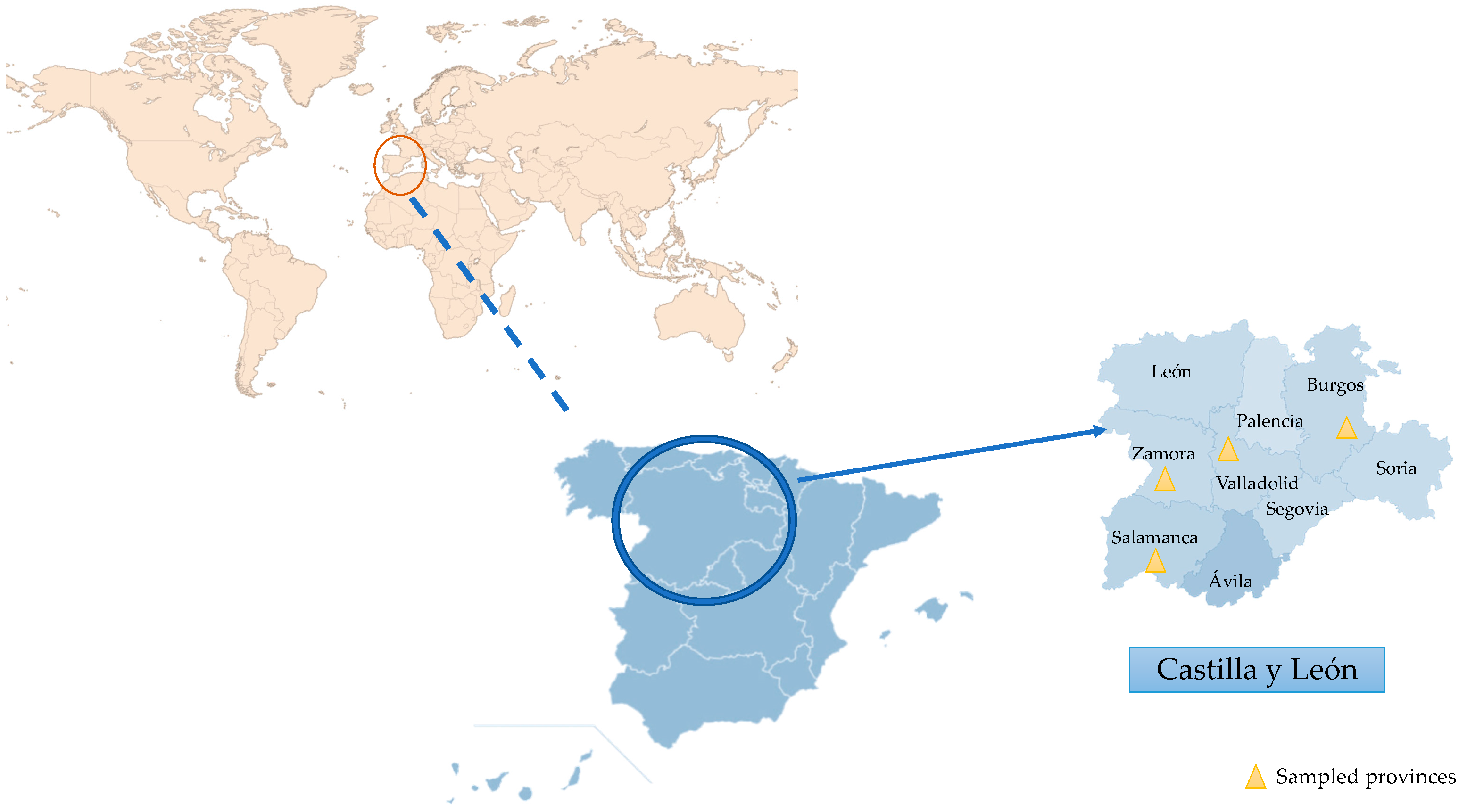 Microorganisms 13 01065 g001