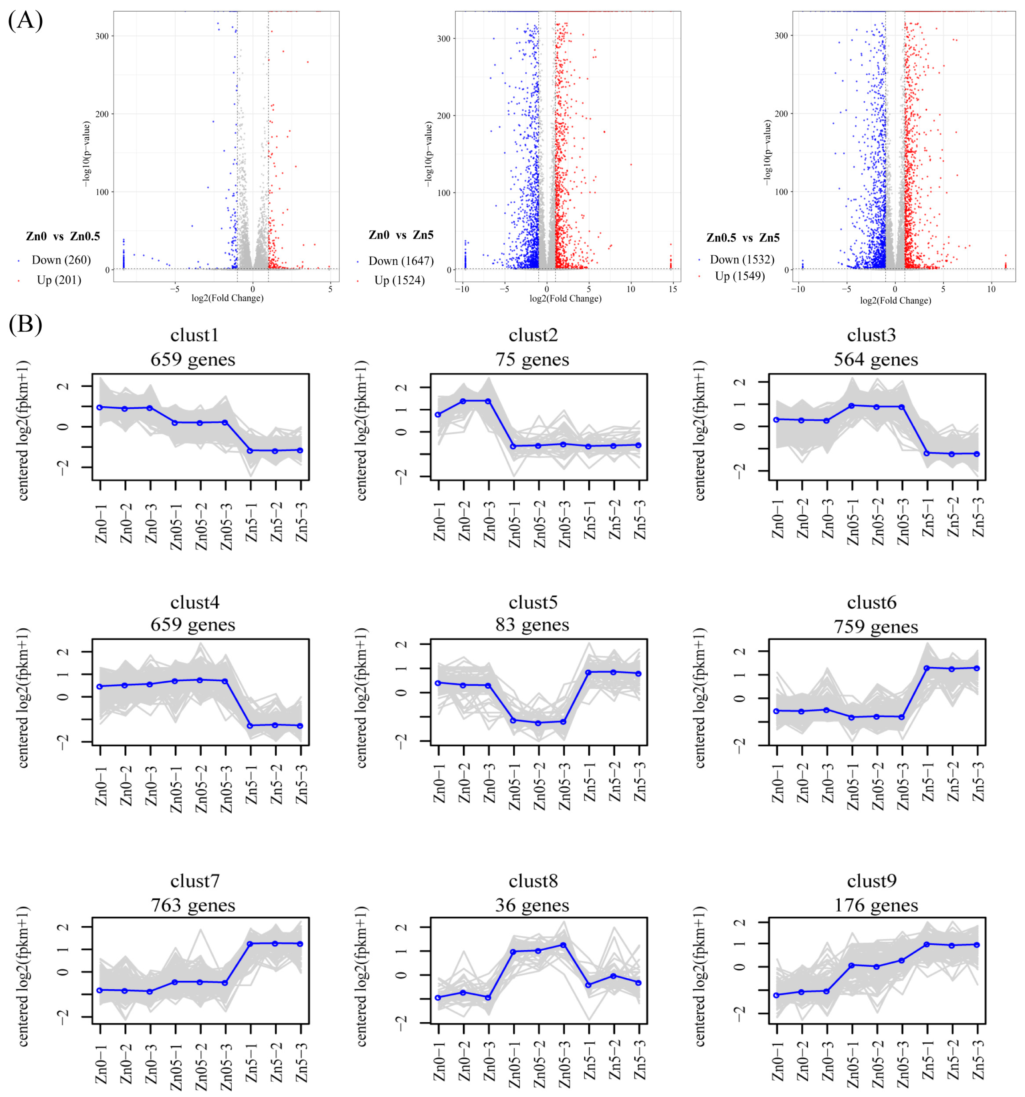 Microorganisms 13 01067 g003