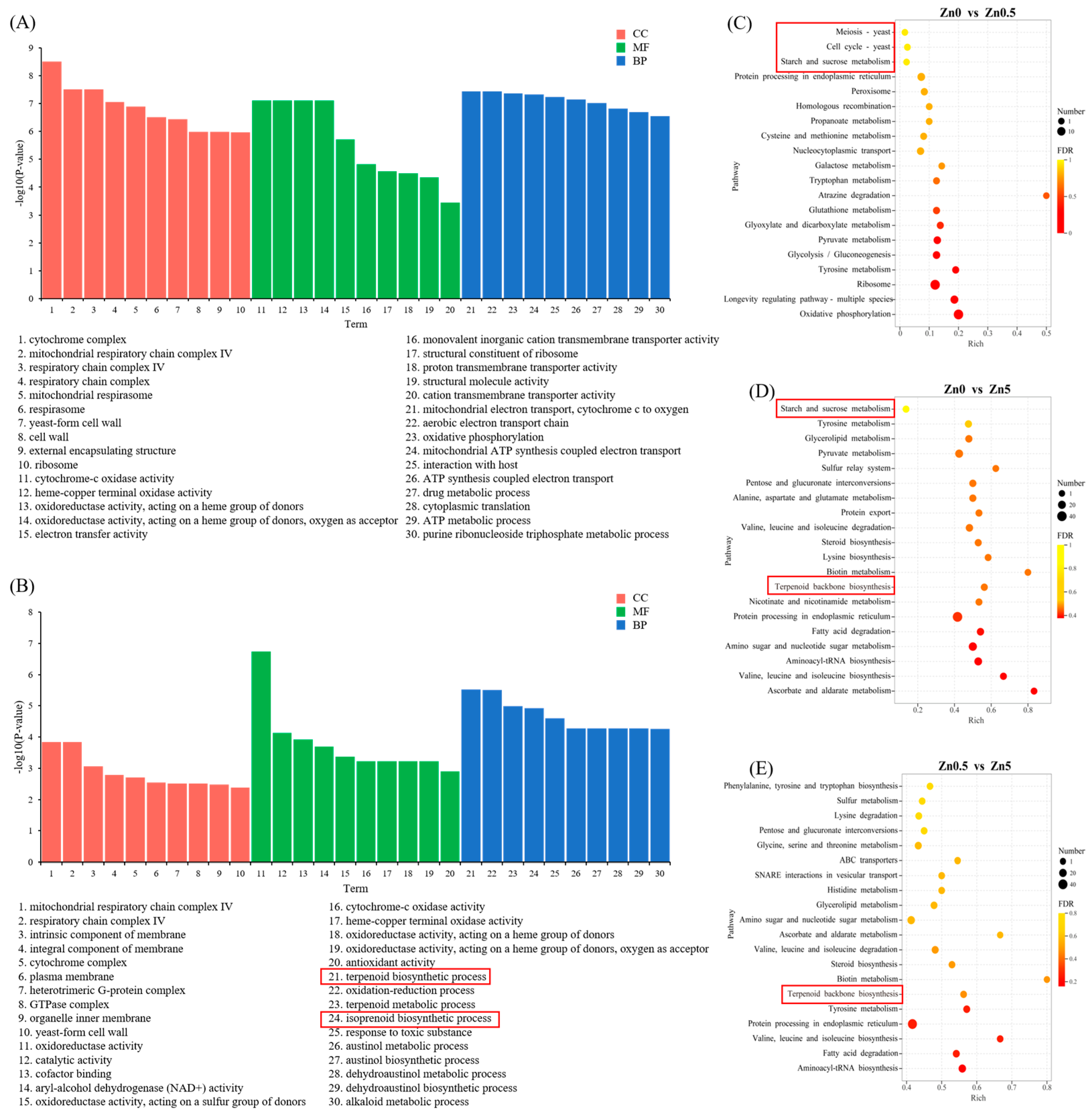 Microorganisms 13 01067 g004