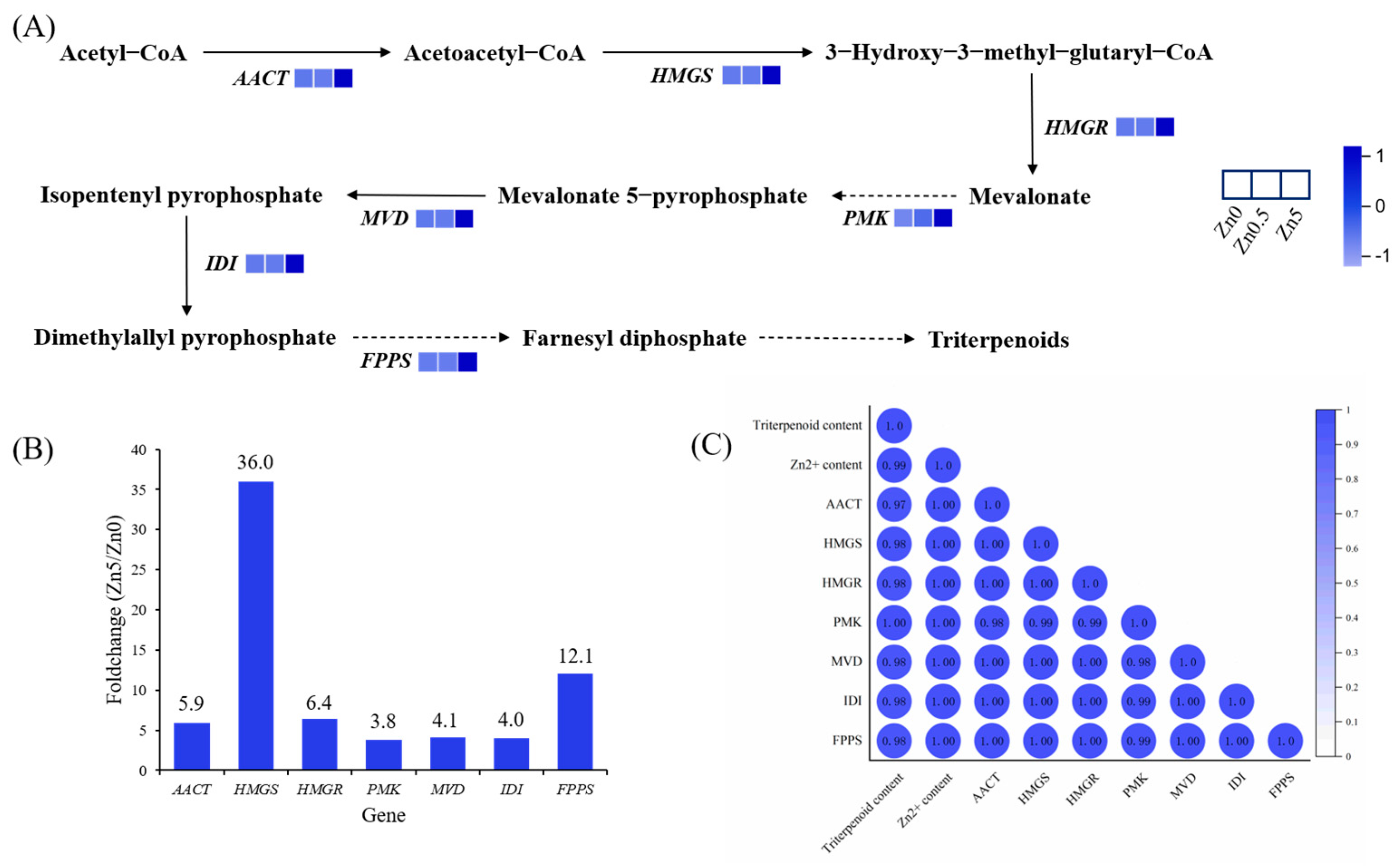 Microorganisms 13 01067 g006