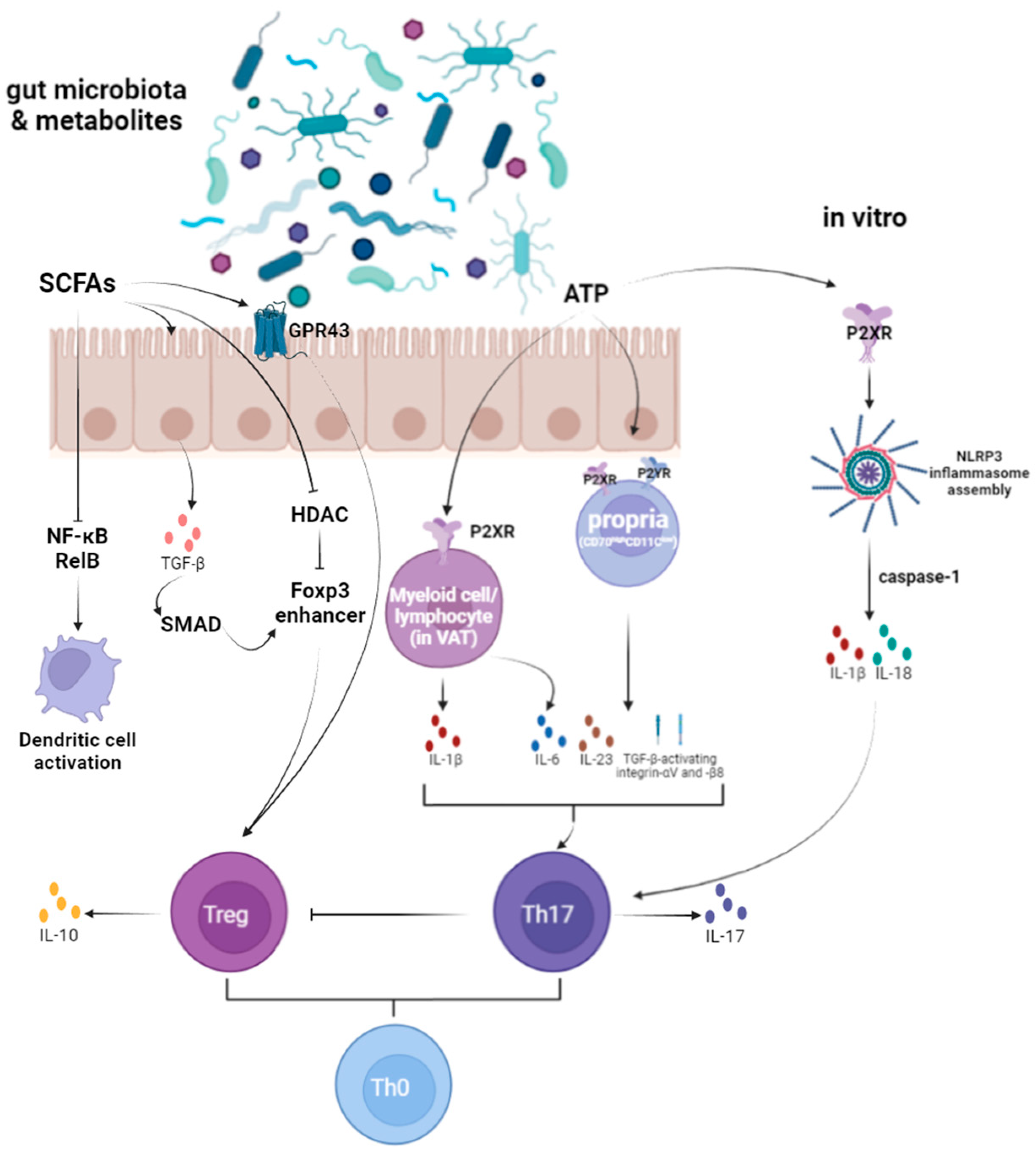 Microorganisms 13 01073 g003