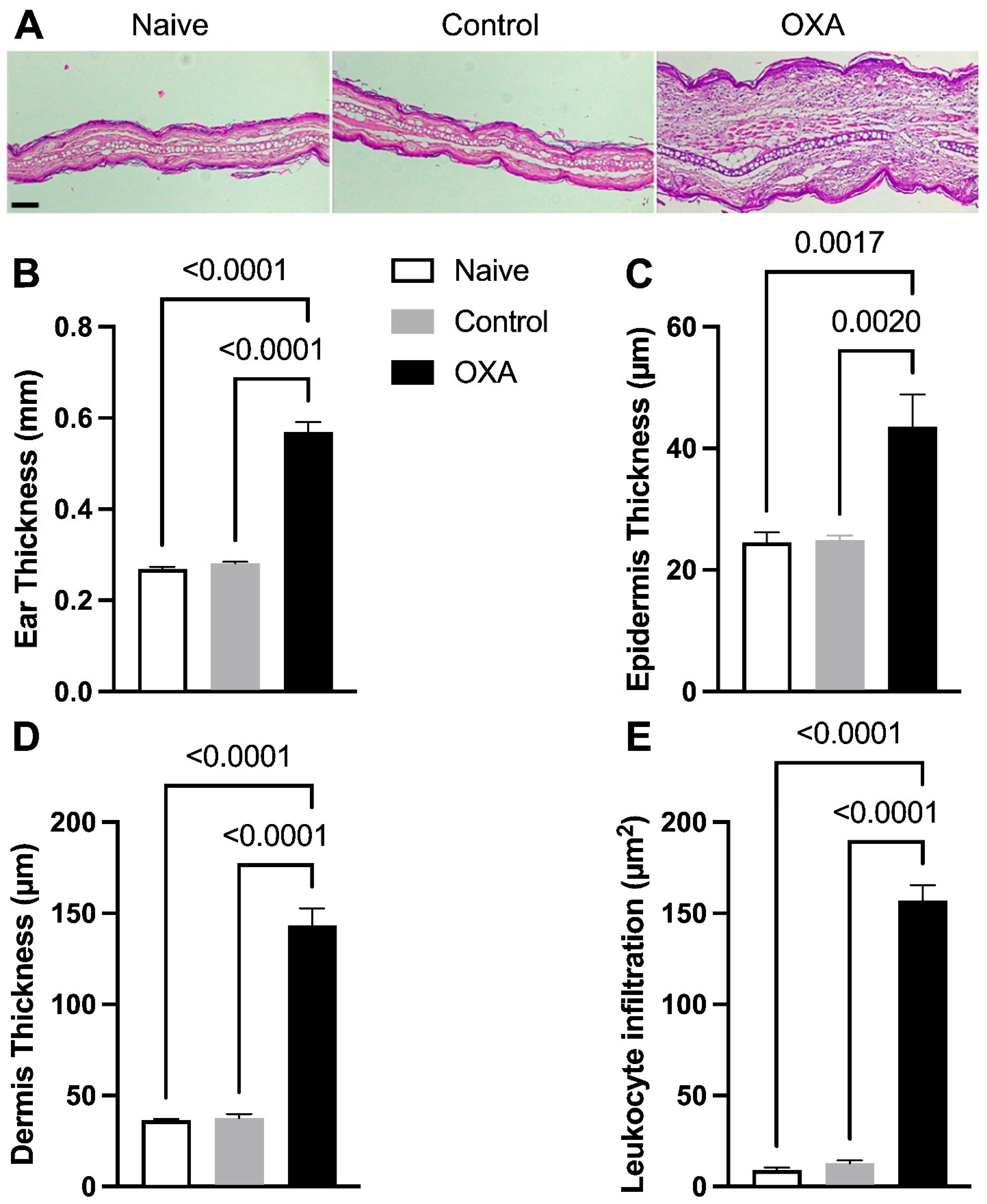 Microorganisms 13 01082 g002