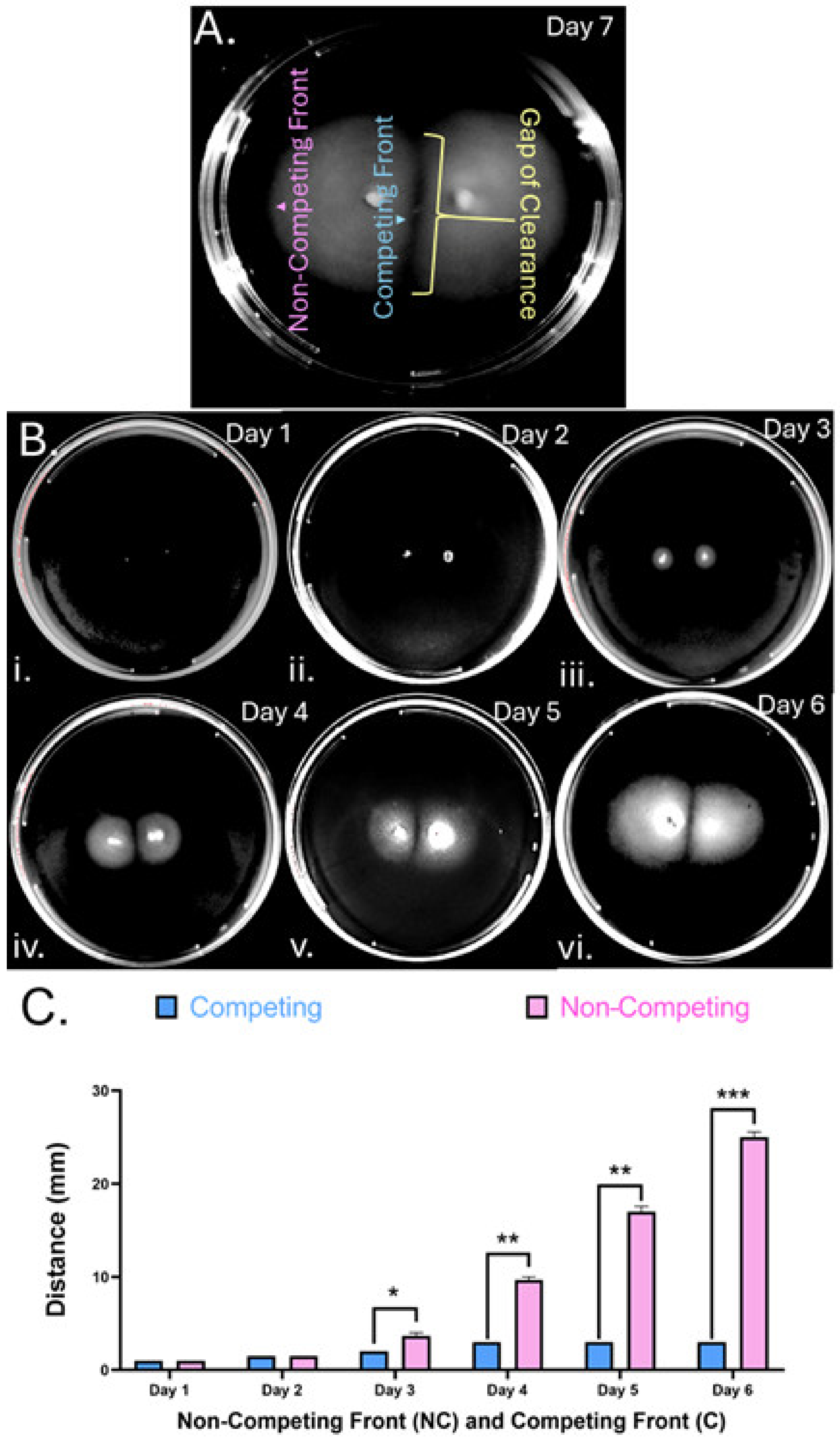 Microorganisms 13 01087 g001