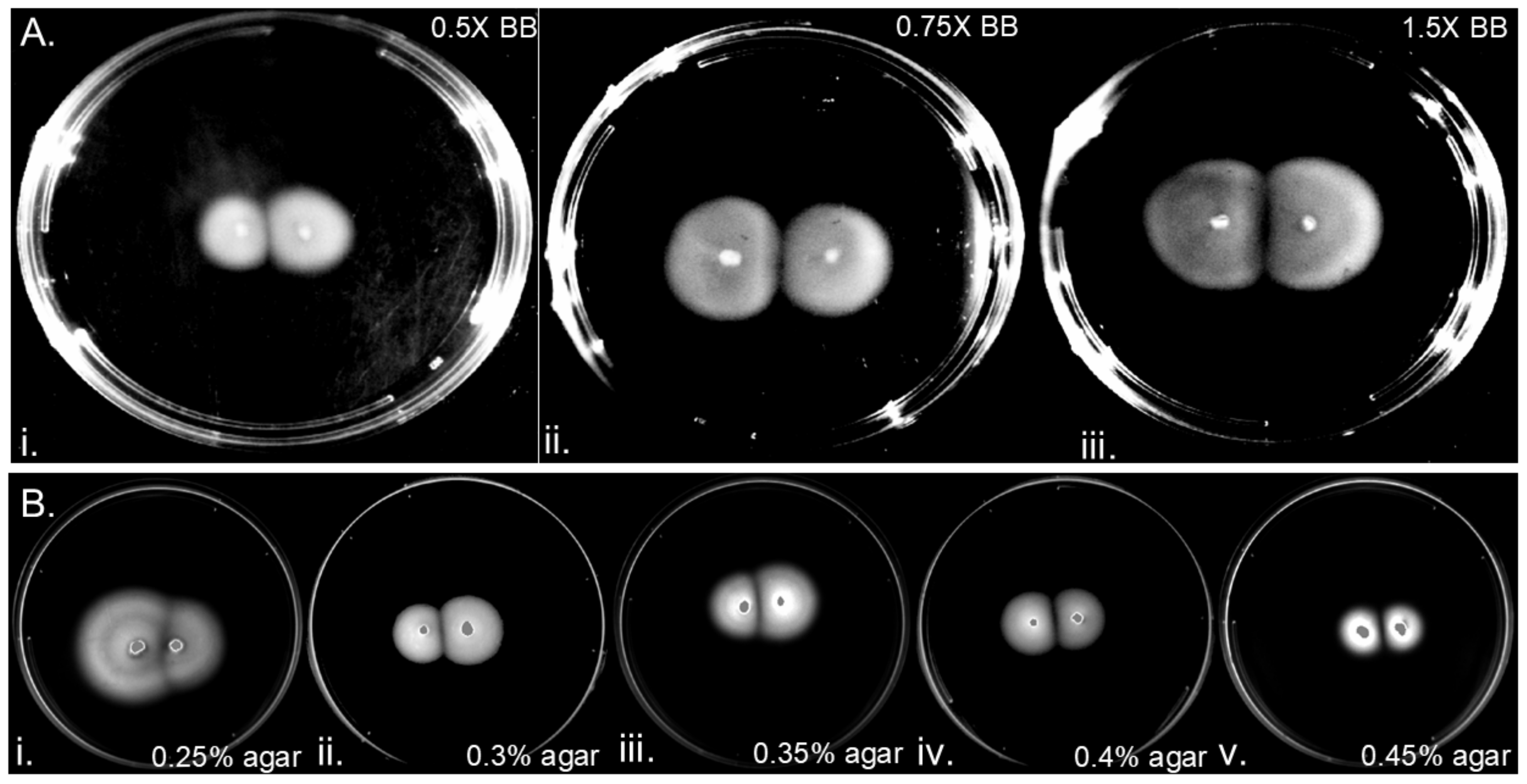 Microorganisms 13 01087 g003