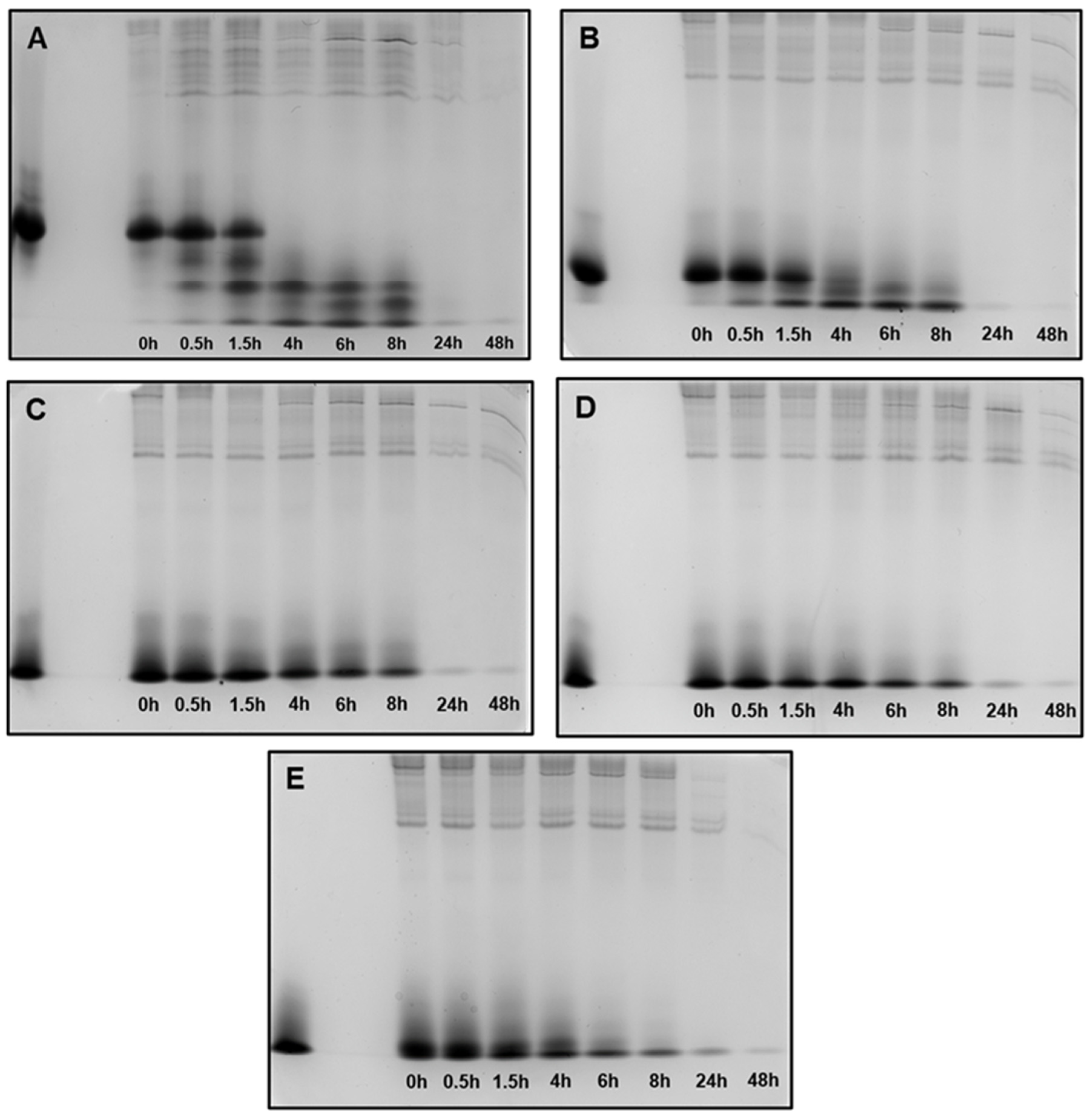 Microorganisms 13 01091 g005