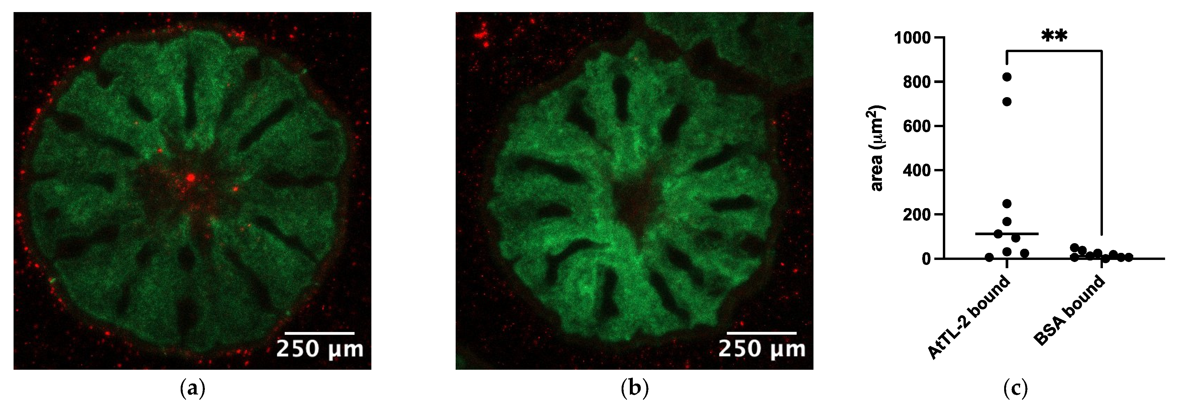 Microorganisms 13 01095 g003