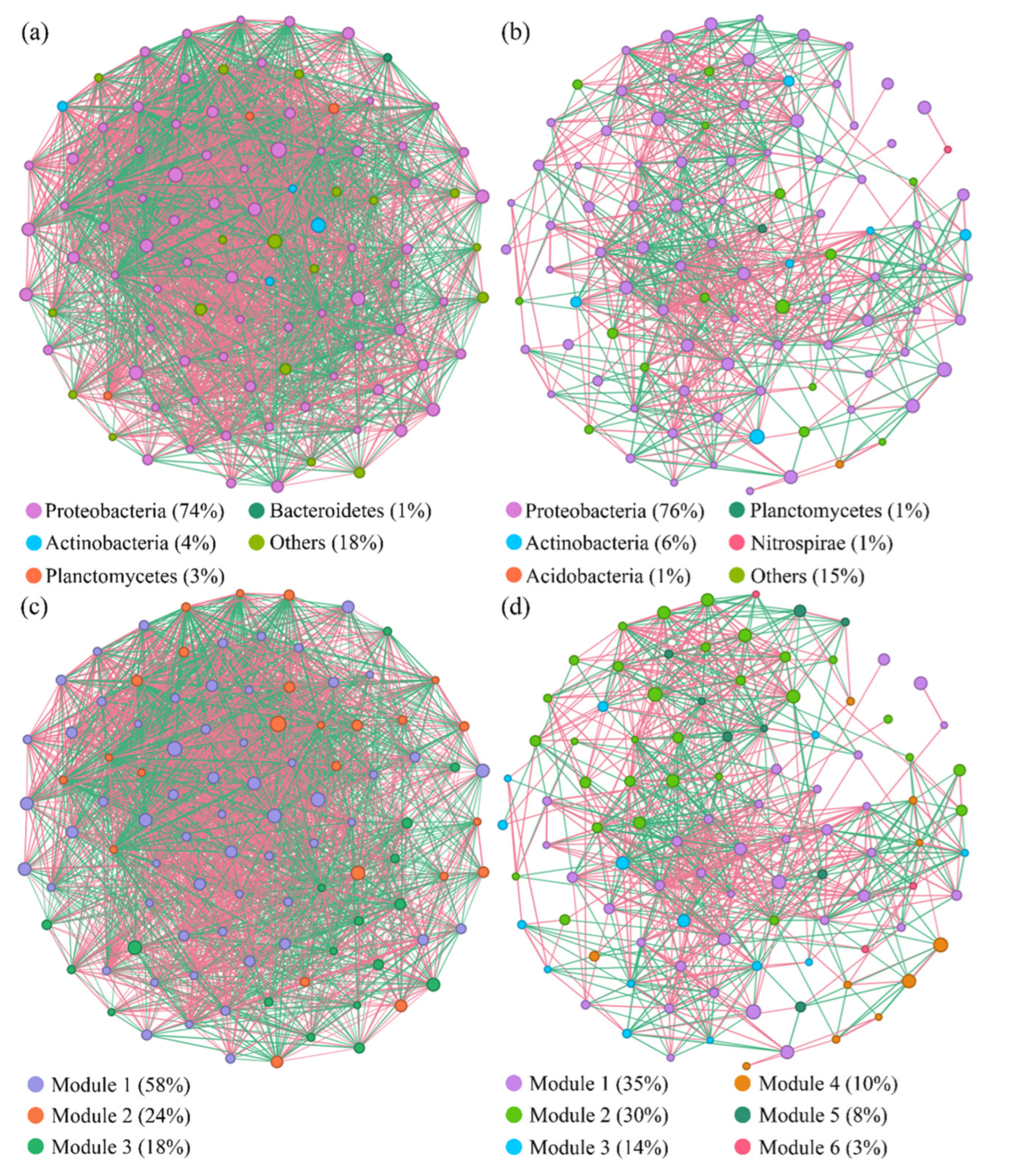 Microorganisms 13 01098 g006