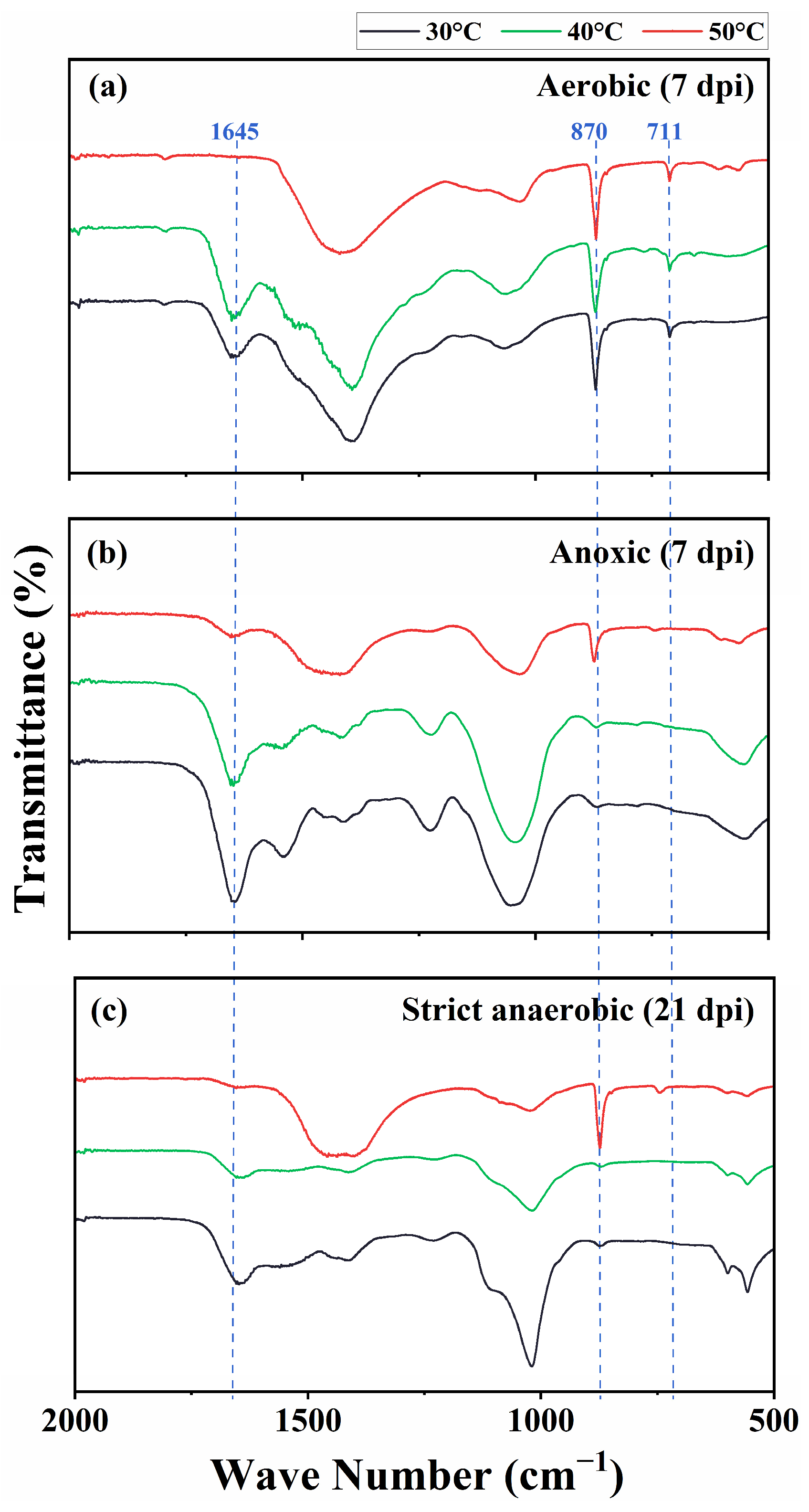 Microorganisms 13 01102 g004
