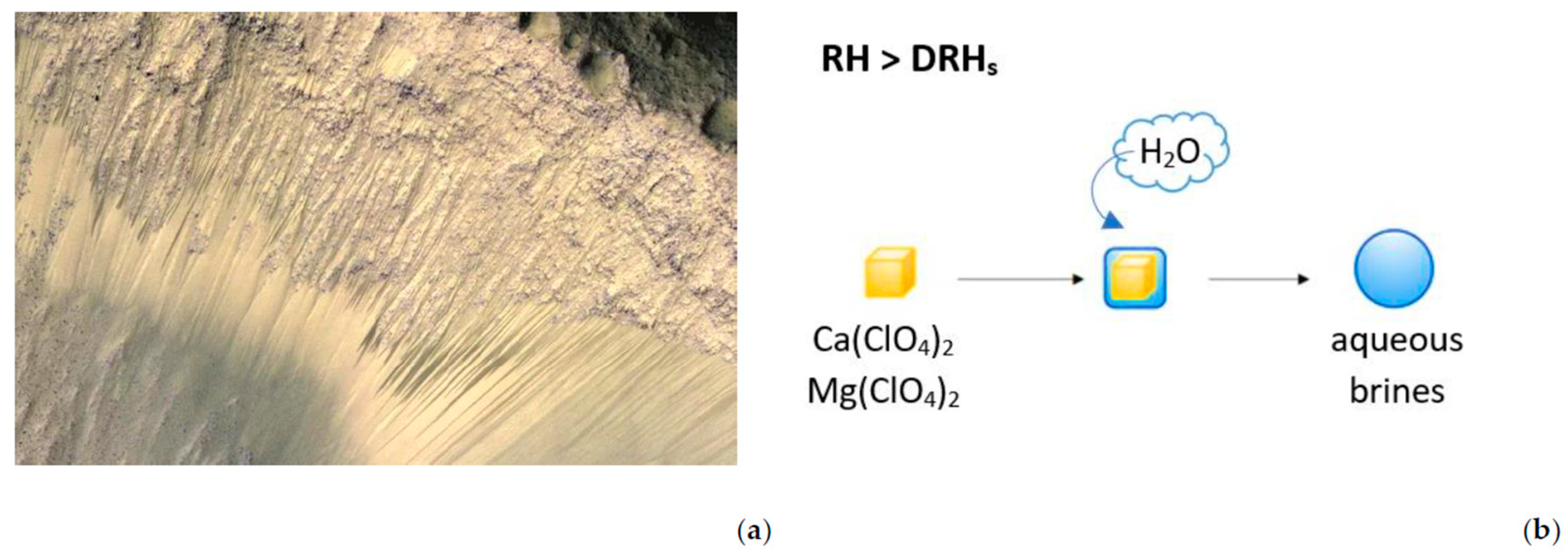 Microorganisms 13 01105 g001