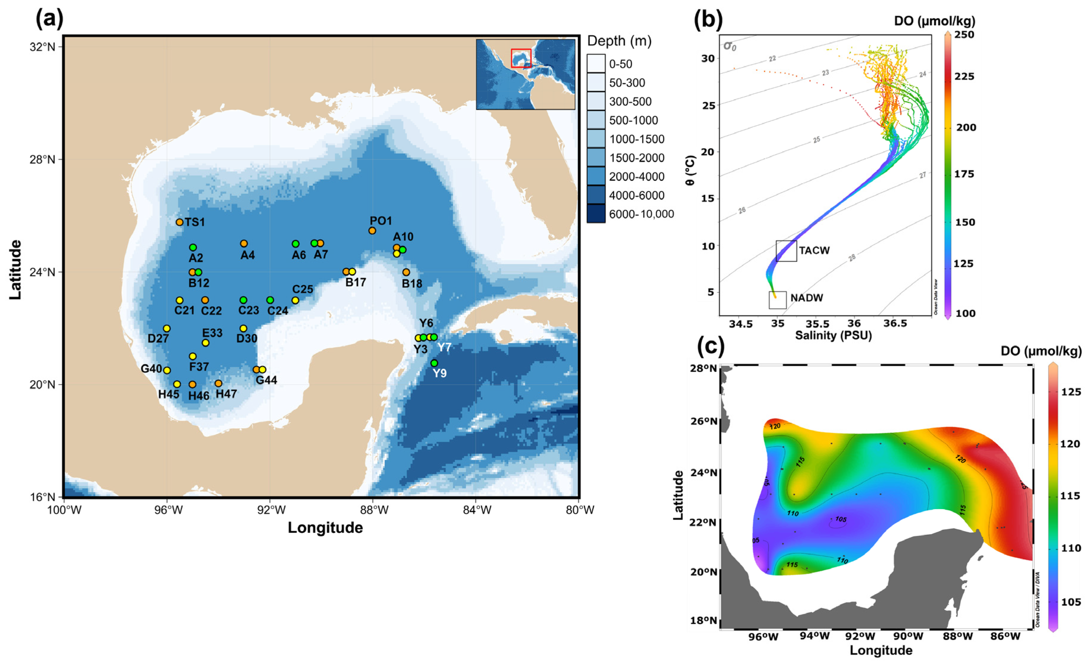 Microorganisms 13 01106 g001