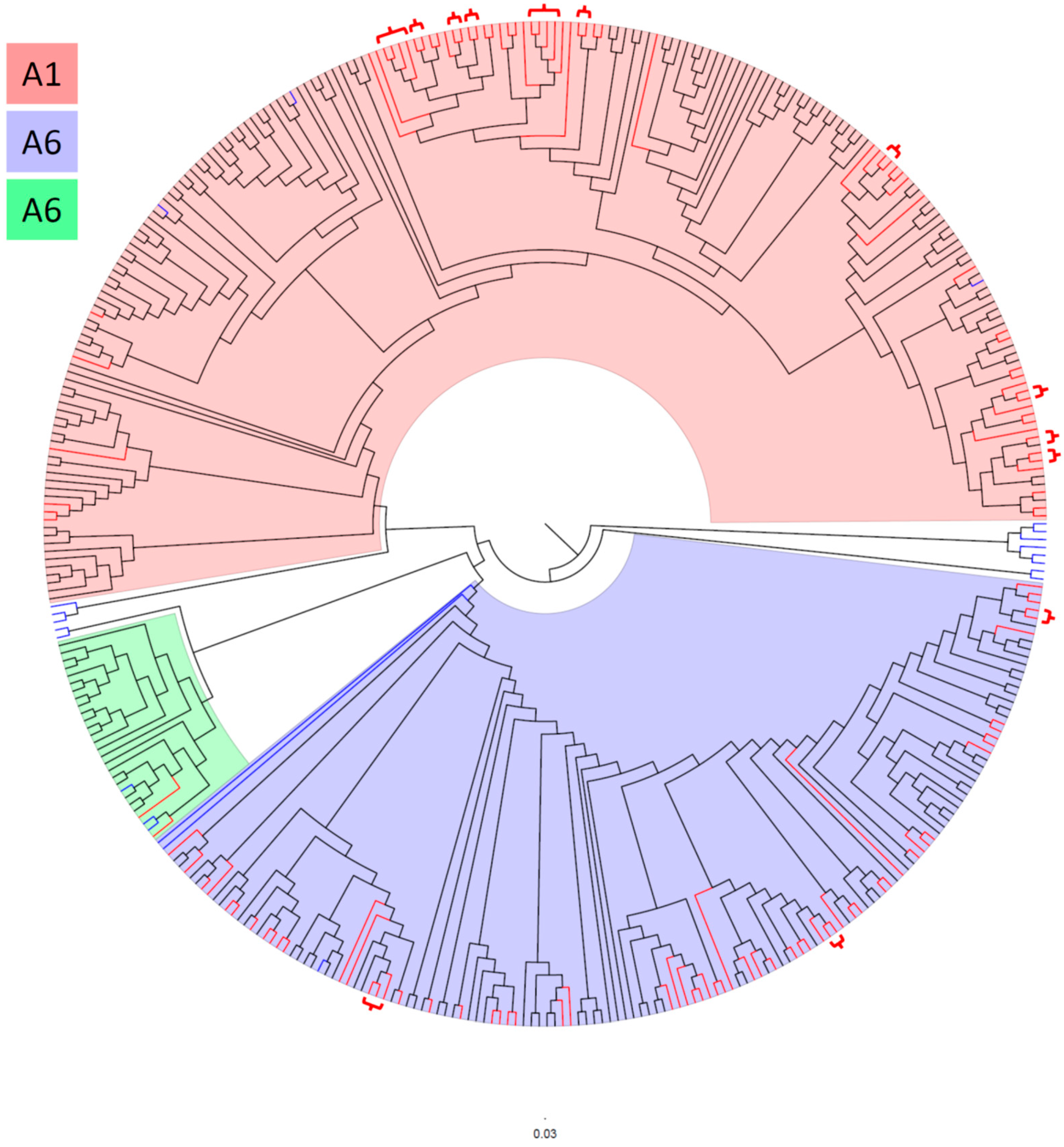 Microorganisms 13 01108 g001