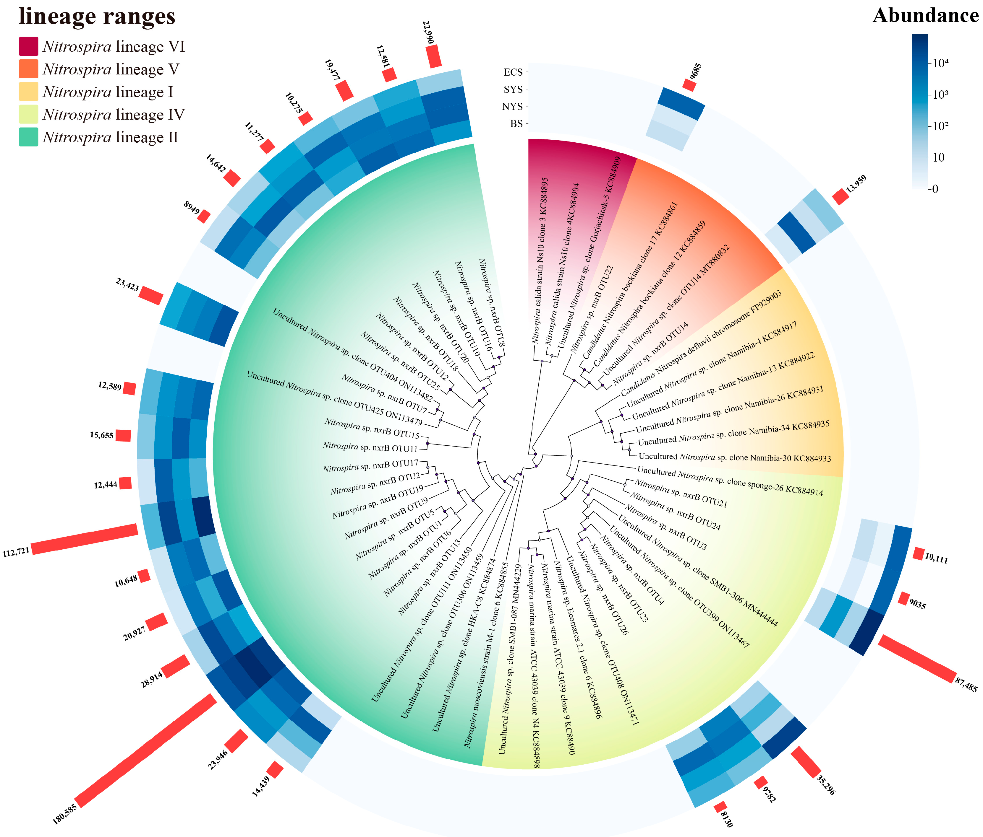 Microorganisms 13 01112 g005