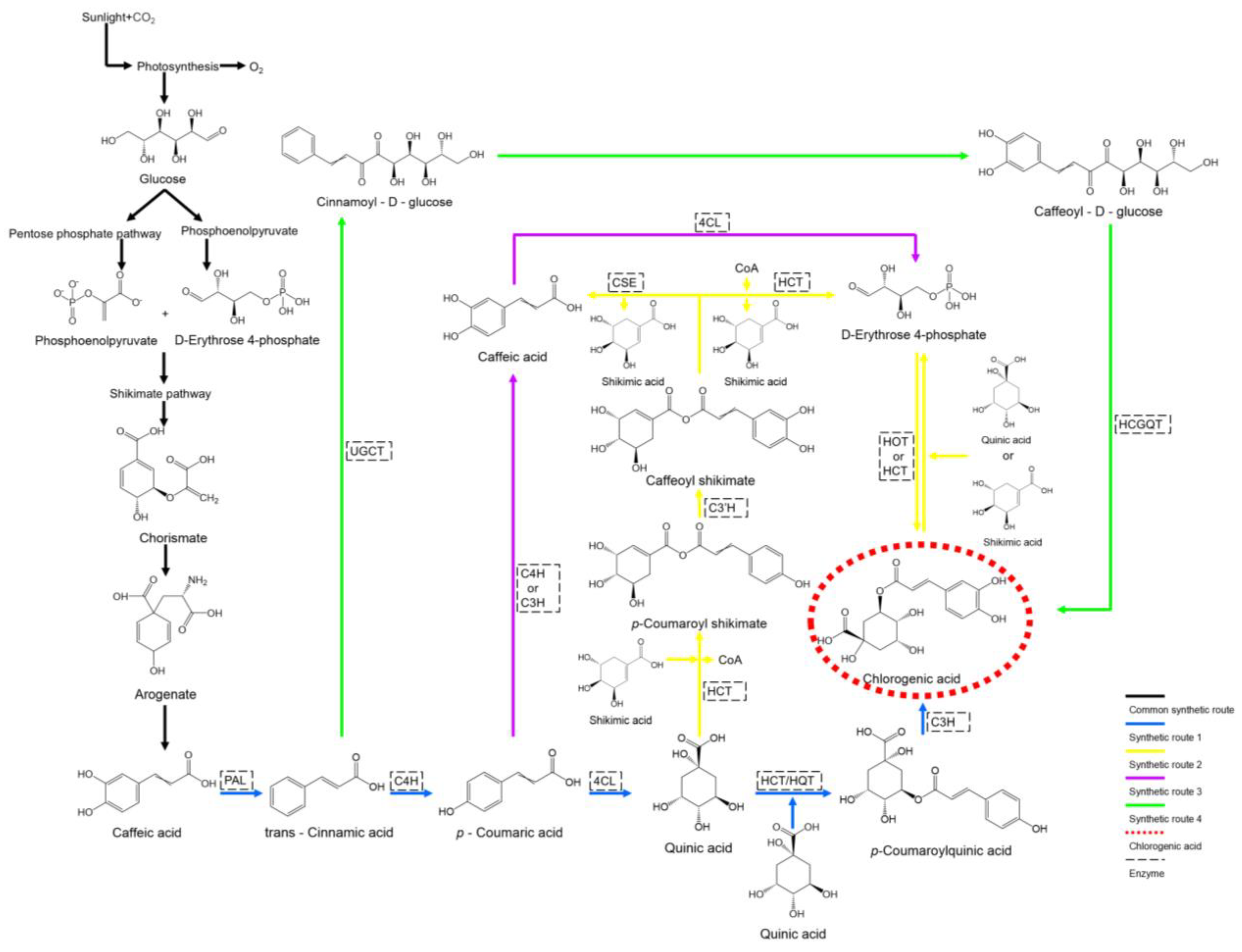 Microorganisms 13 01114 g002