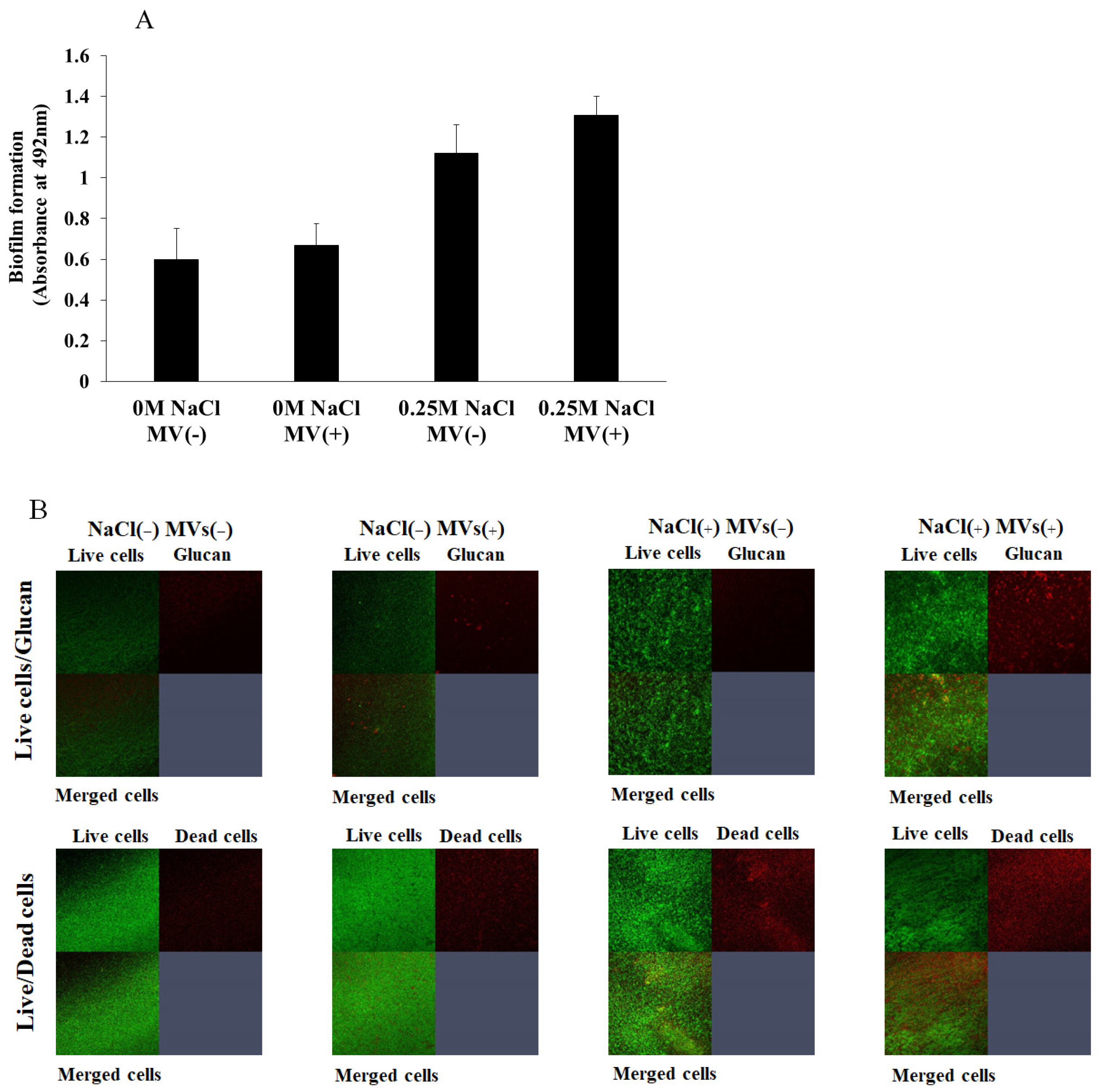 Microorganisms 13 01118 g005