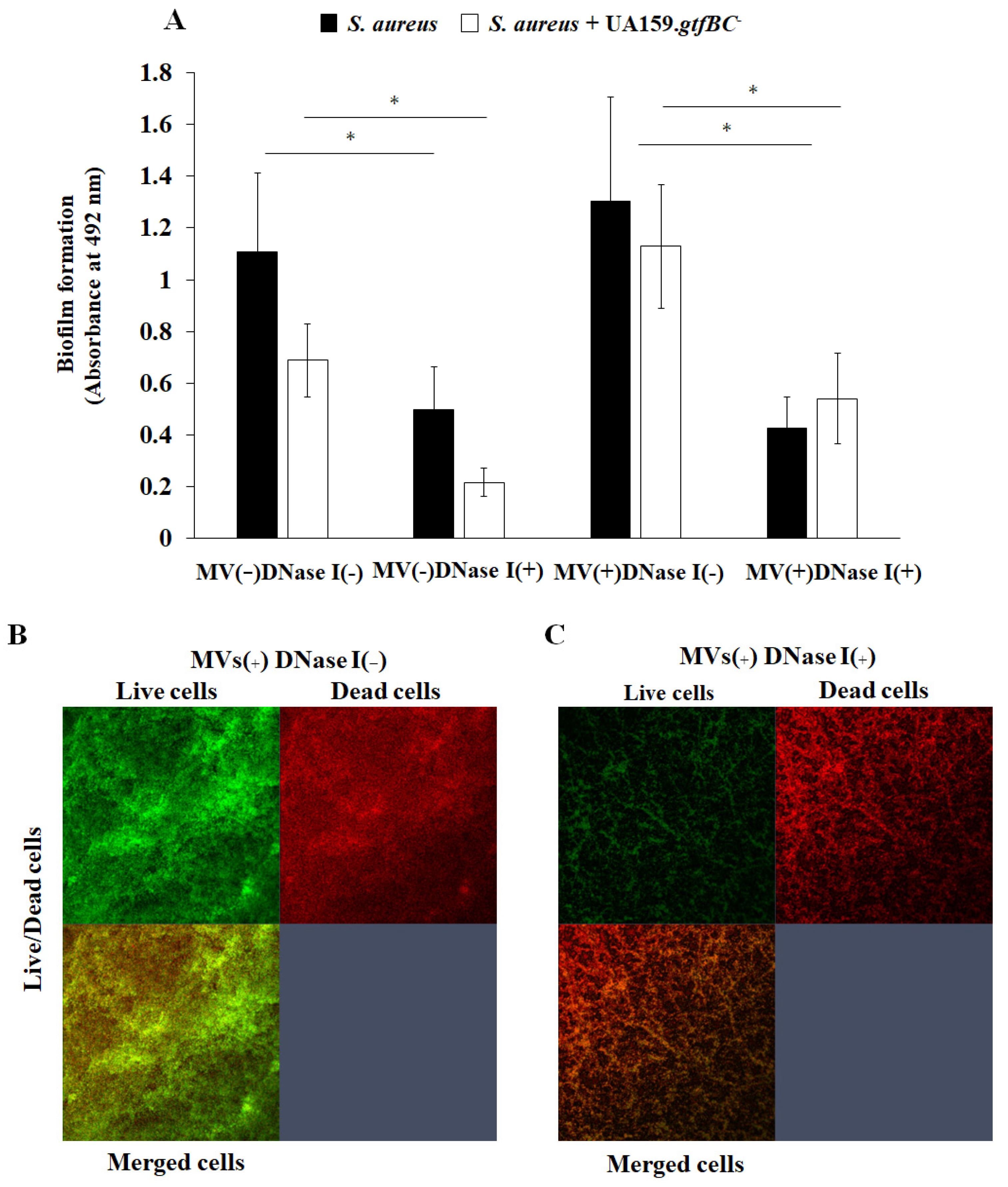 Microorganisms 13 01118 g007