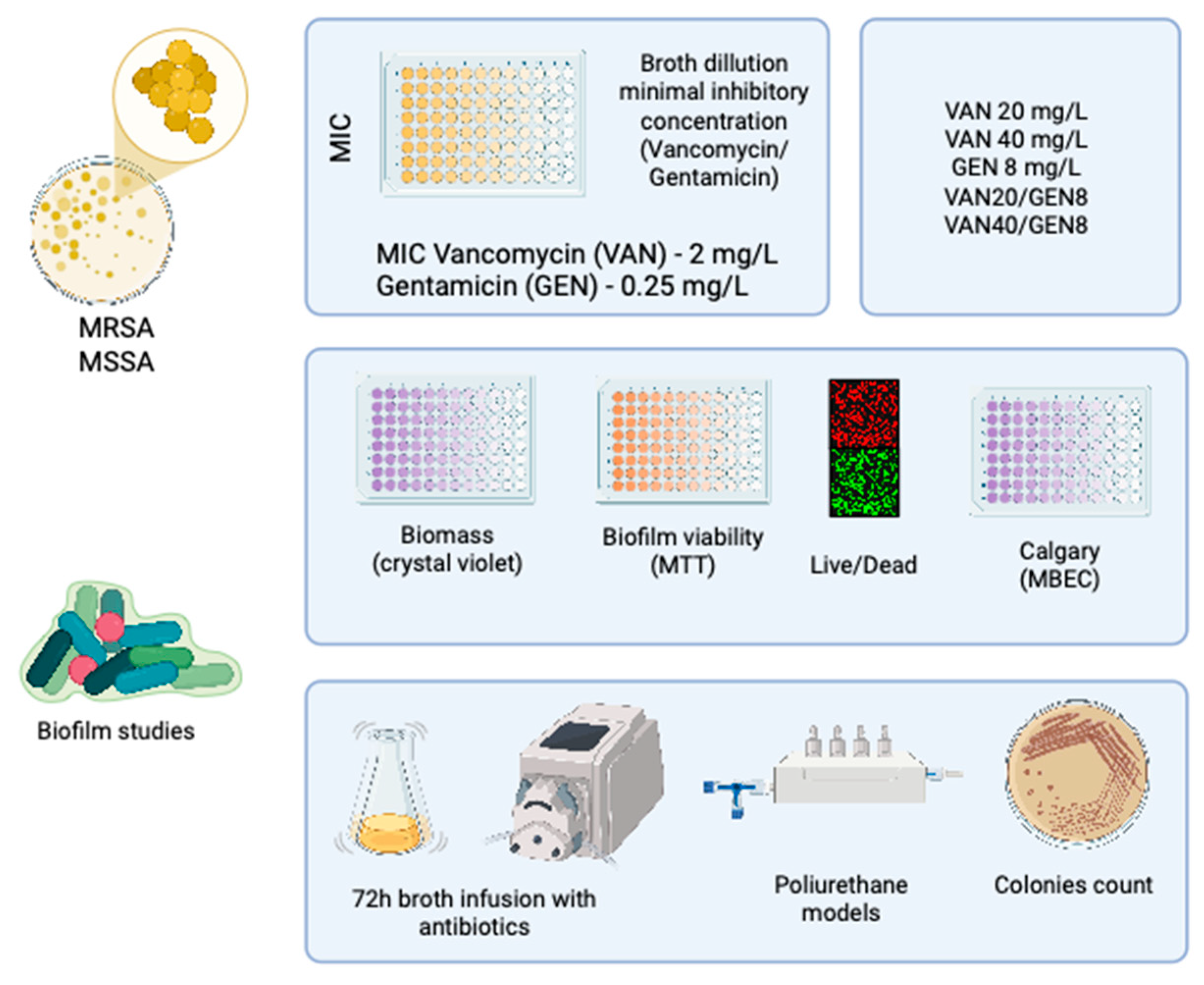 Microorganisms 13 01119 g001