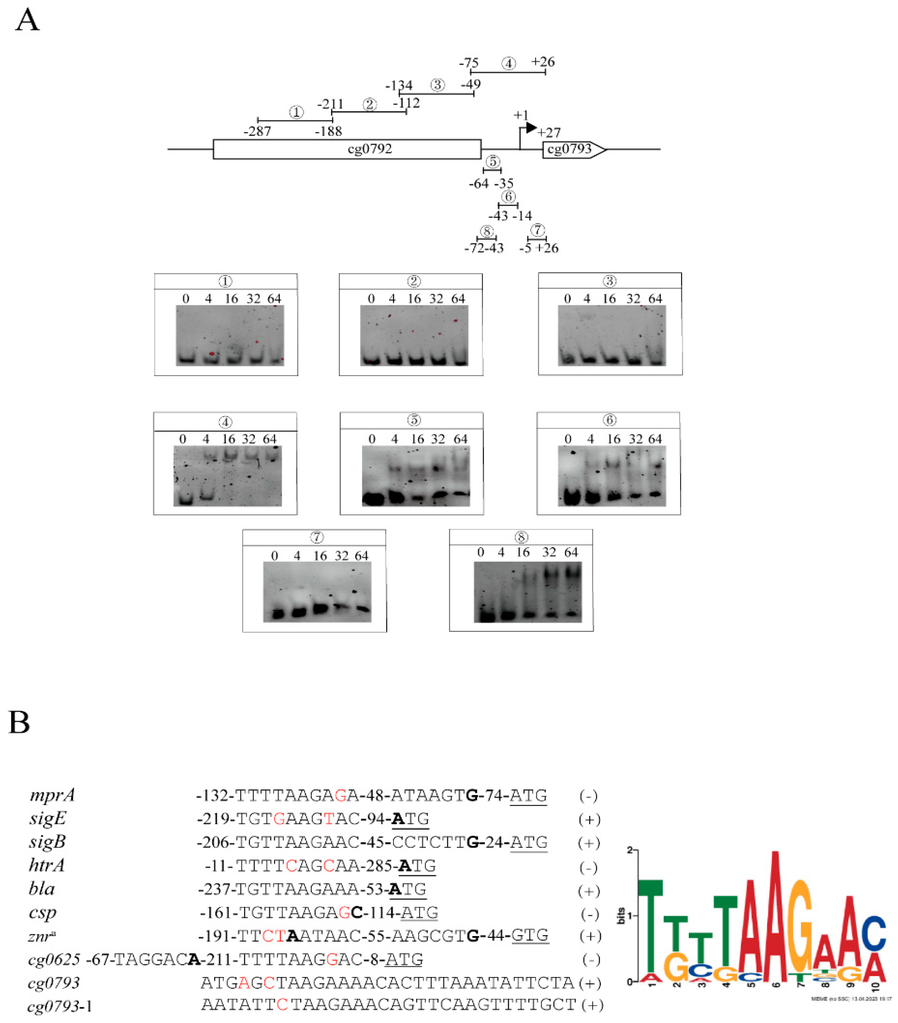 Microorganisms 13 01120 g003