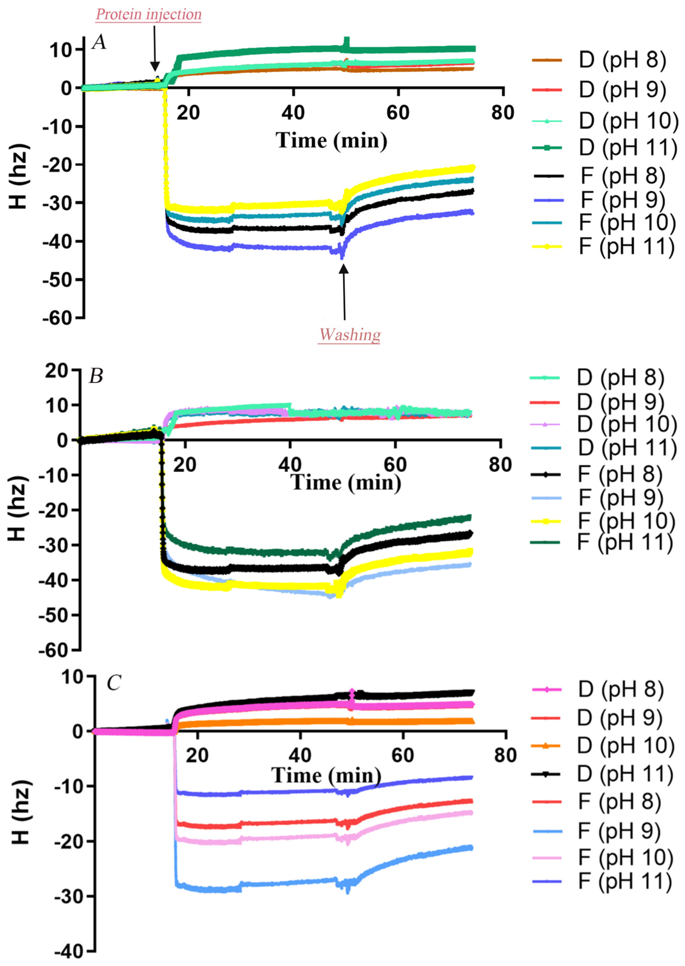Microorganisms 13 01121 g004a