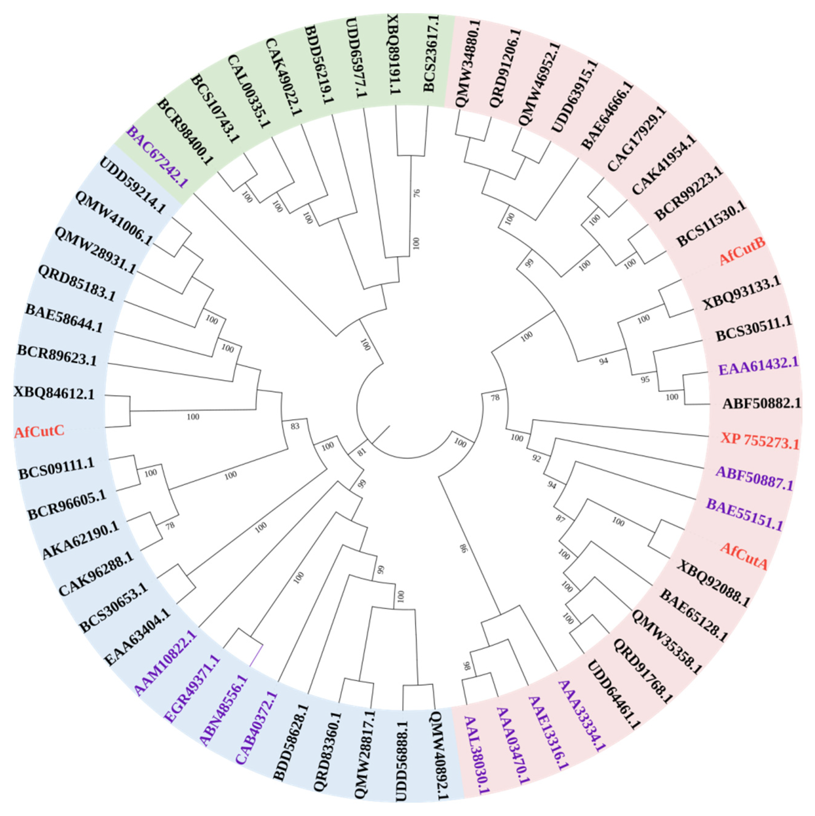 Microorganisms 13 01121 g005
