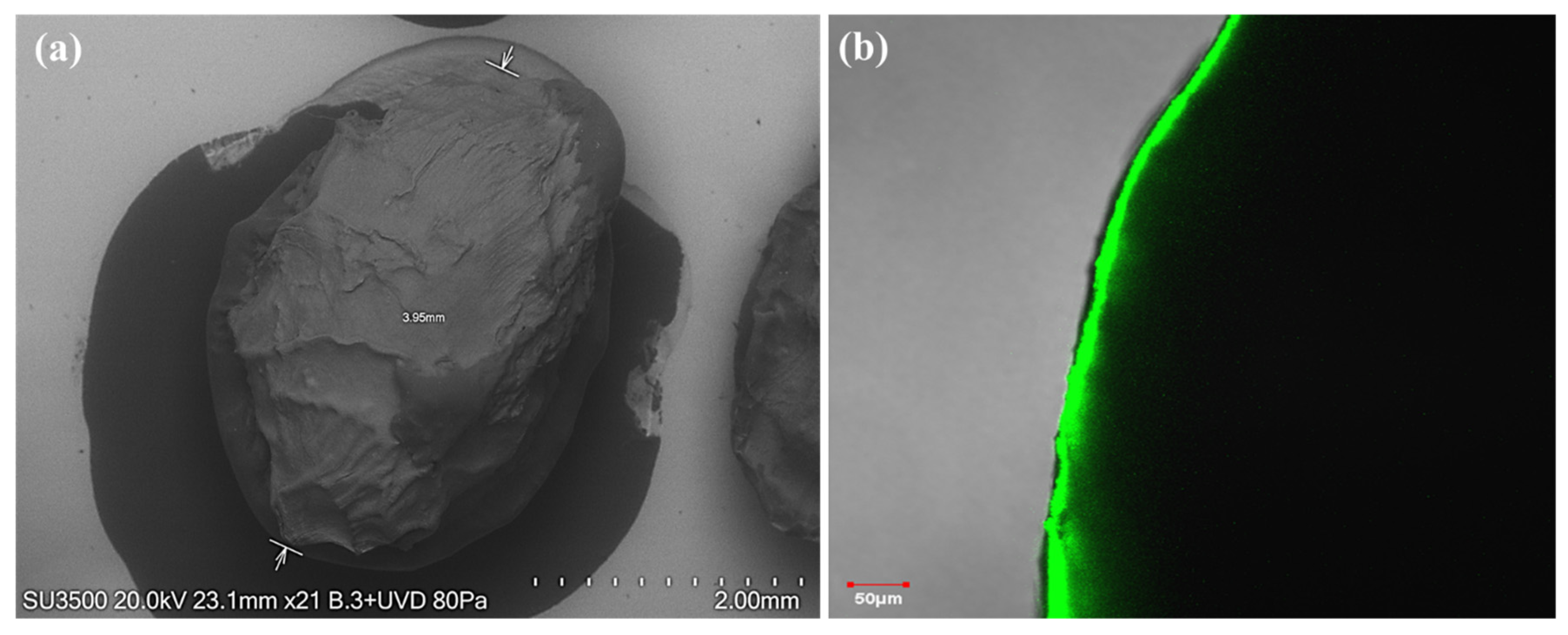 Microorganisms 13 01123 g002