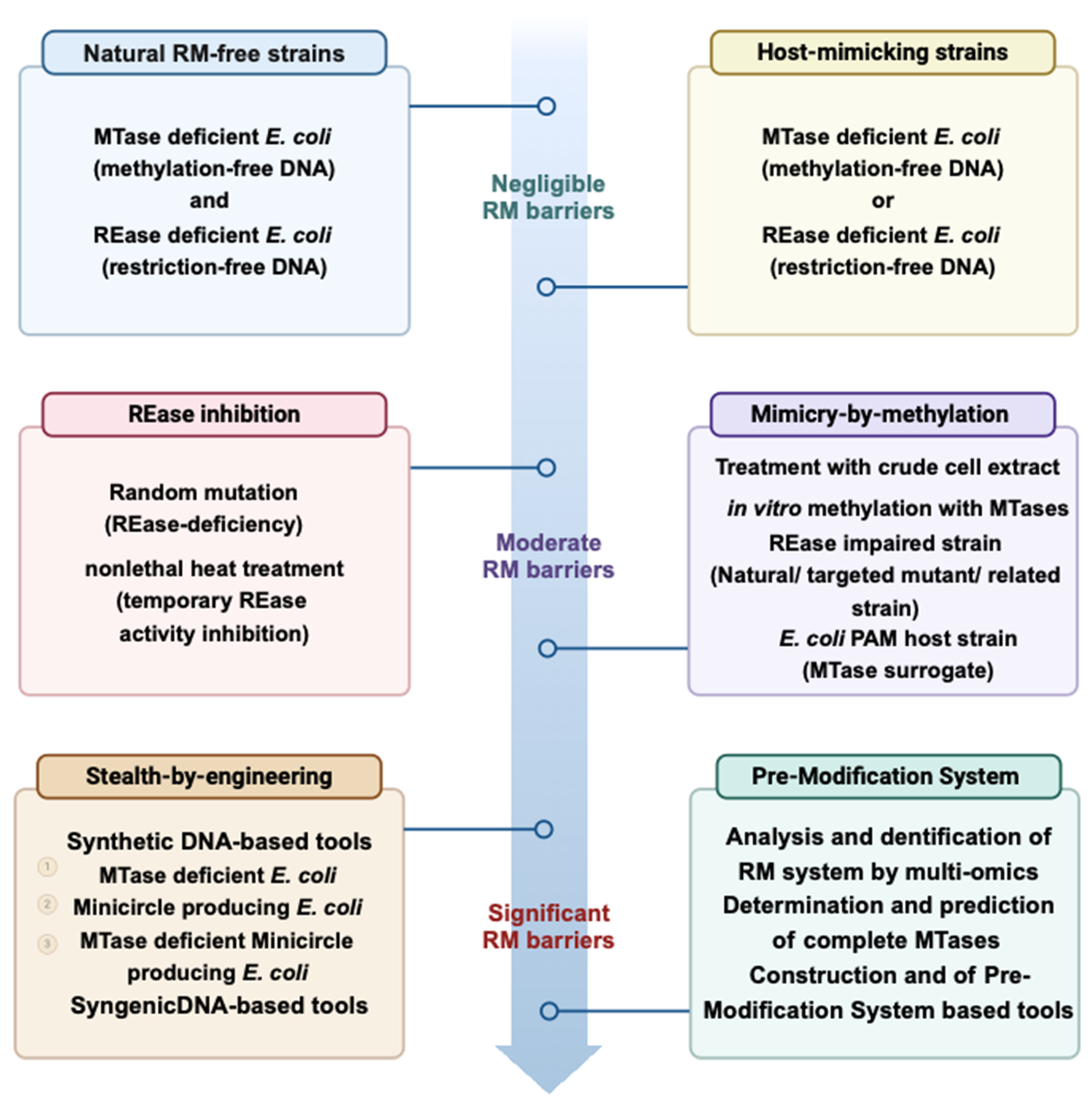 Microorganisms 13 01126 g004 Microorganisms 13 01126 g004