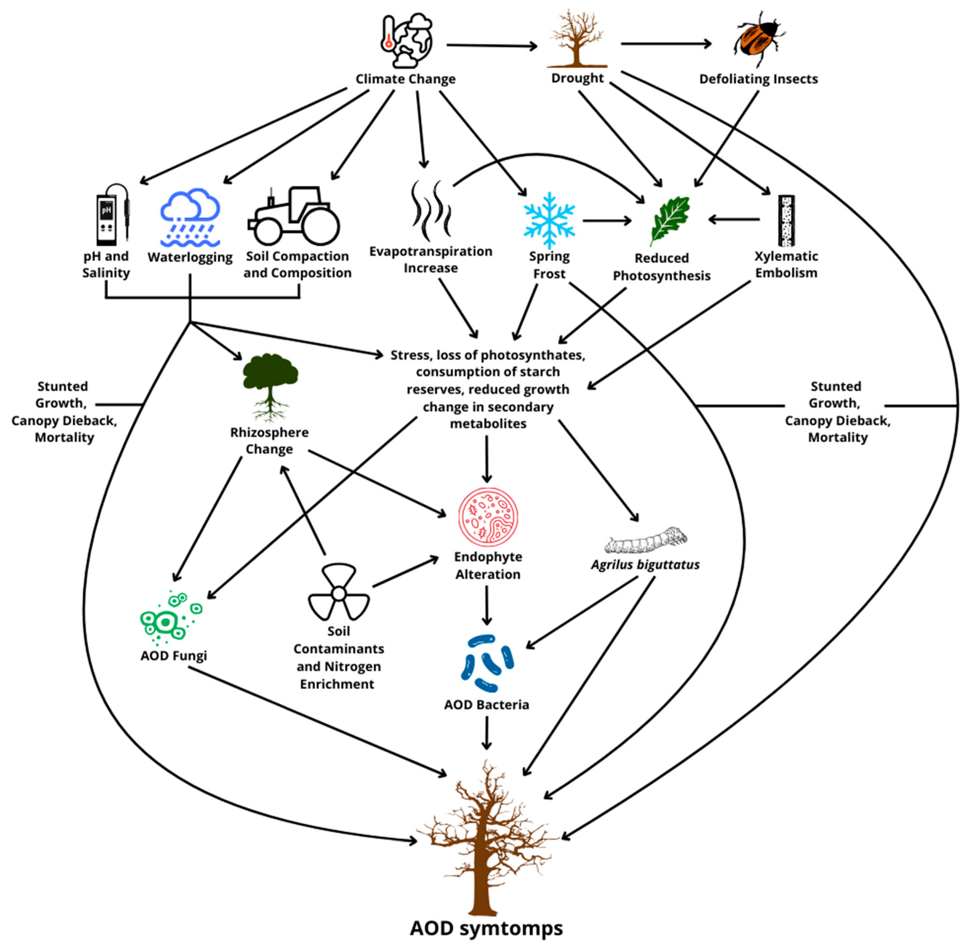 Microorganisms 13 01127 g001 Microorganisms 13 01127 g001