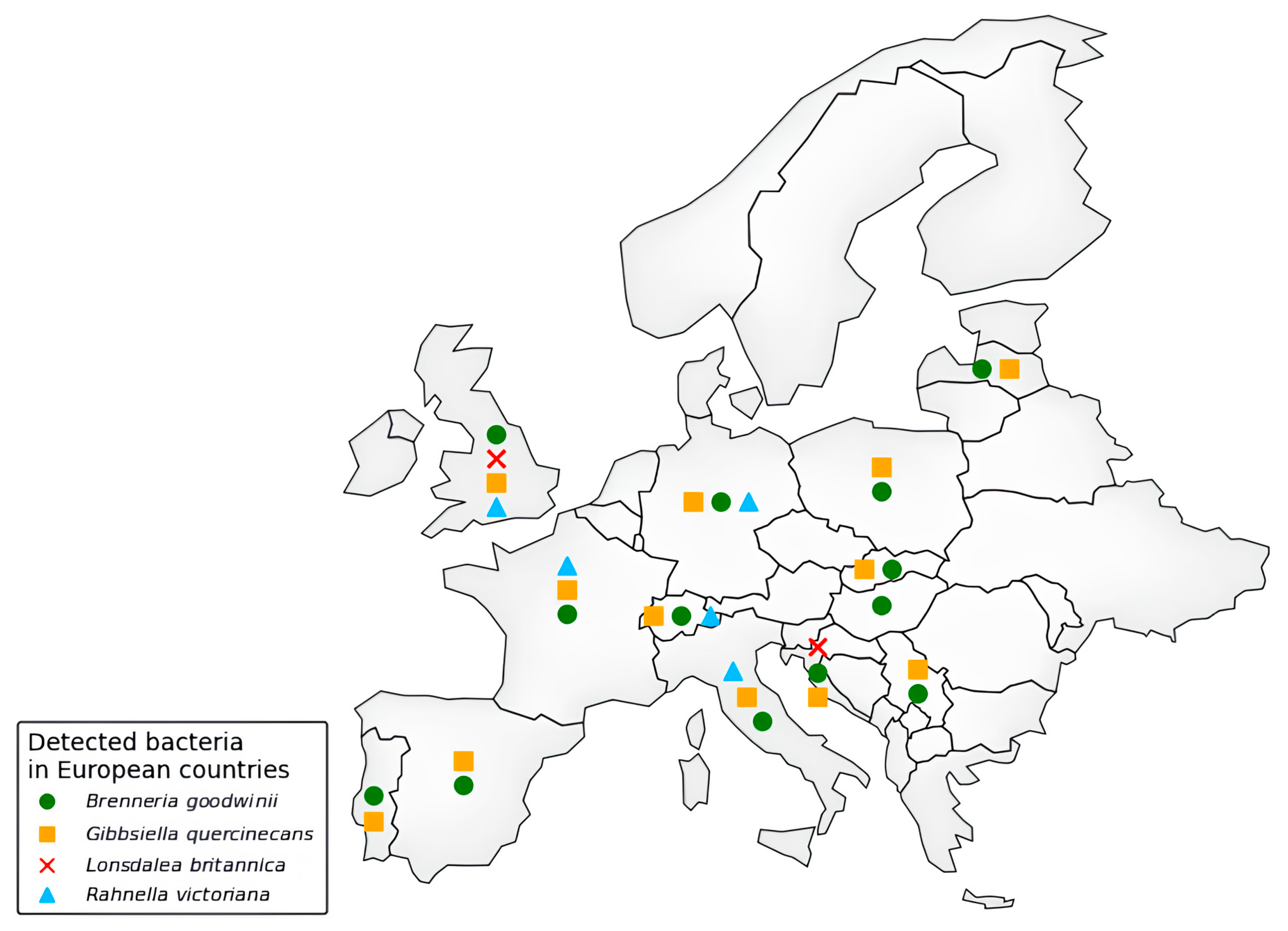 Microorganisms 13 01127 g002 Microorganisms 13 01127 g002