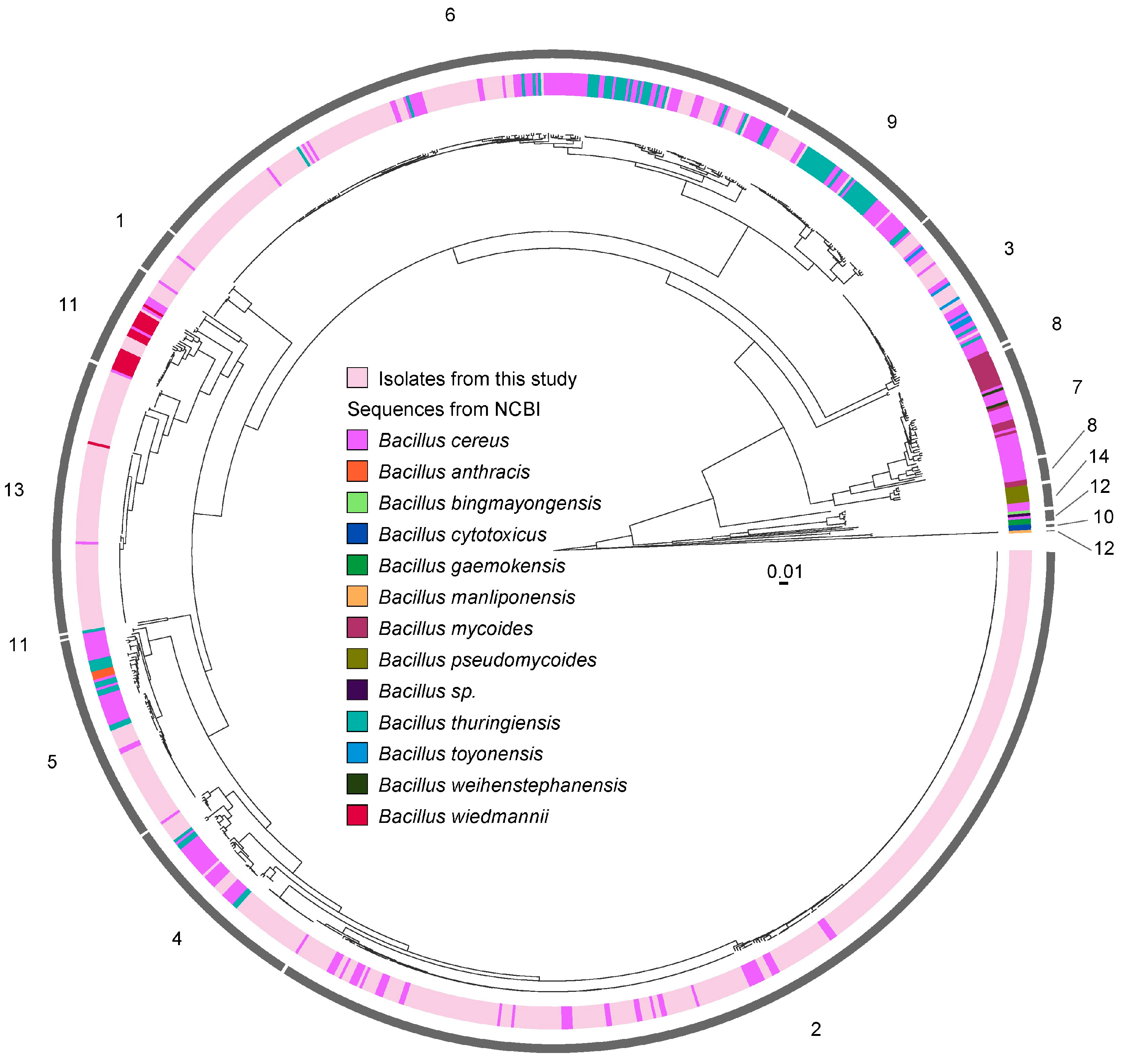 Microorganisms 13 01136 g005