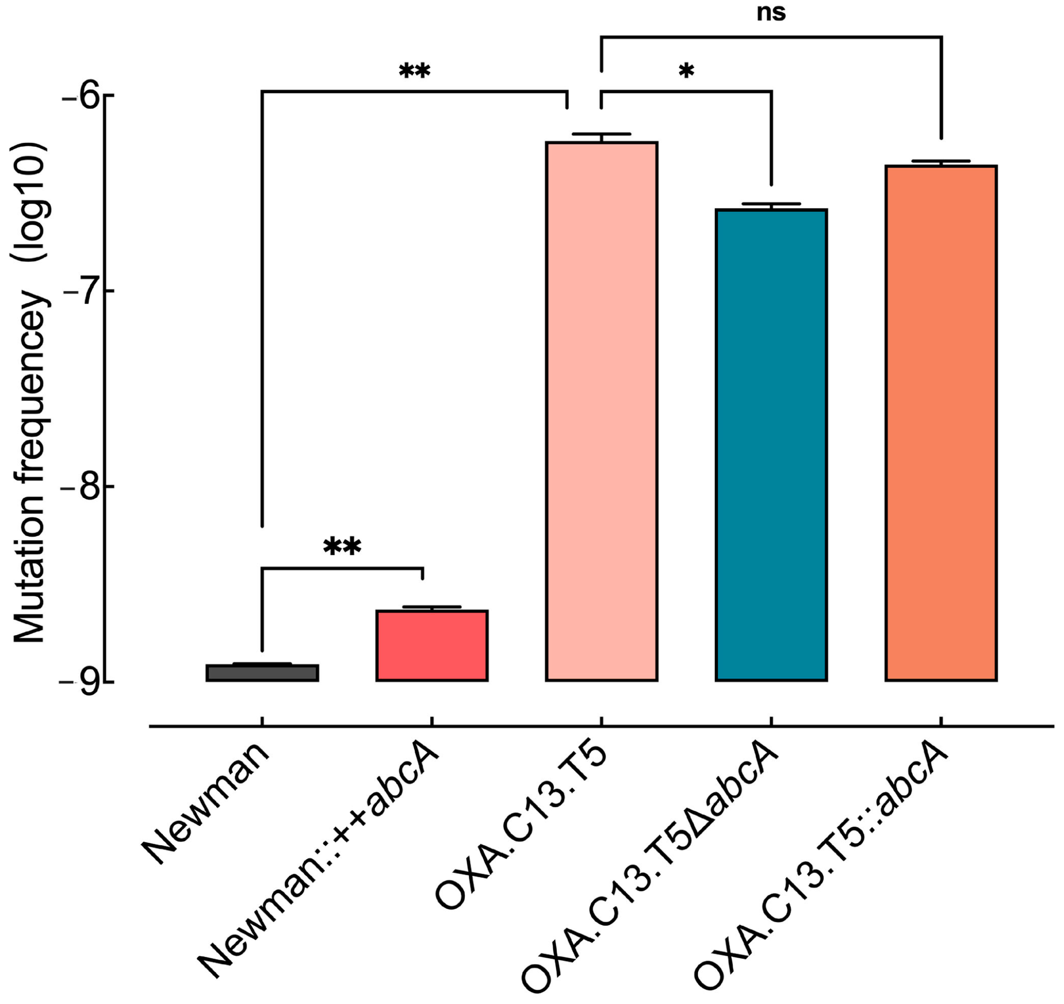 Microorganisms 13 01140 g004