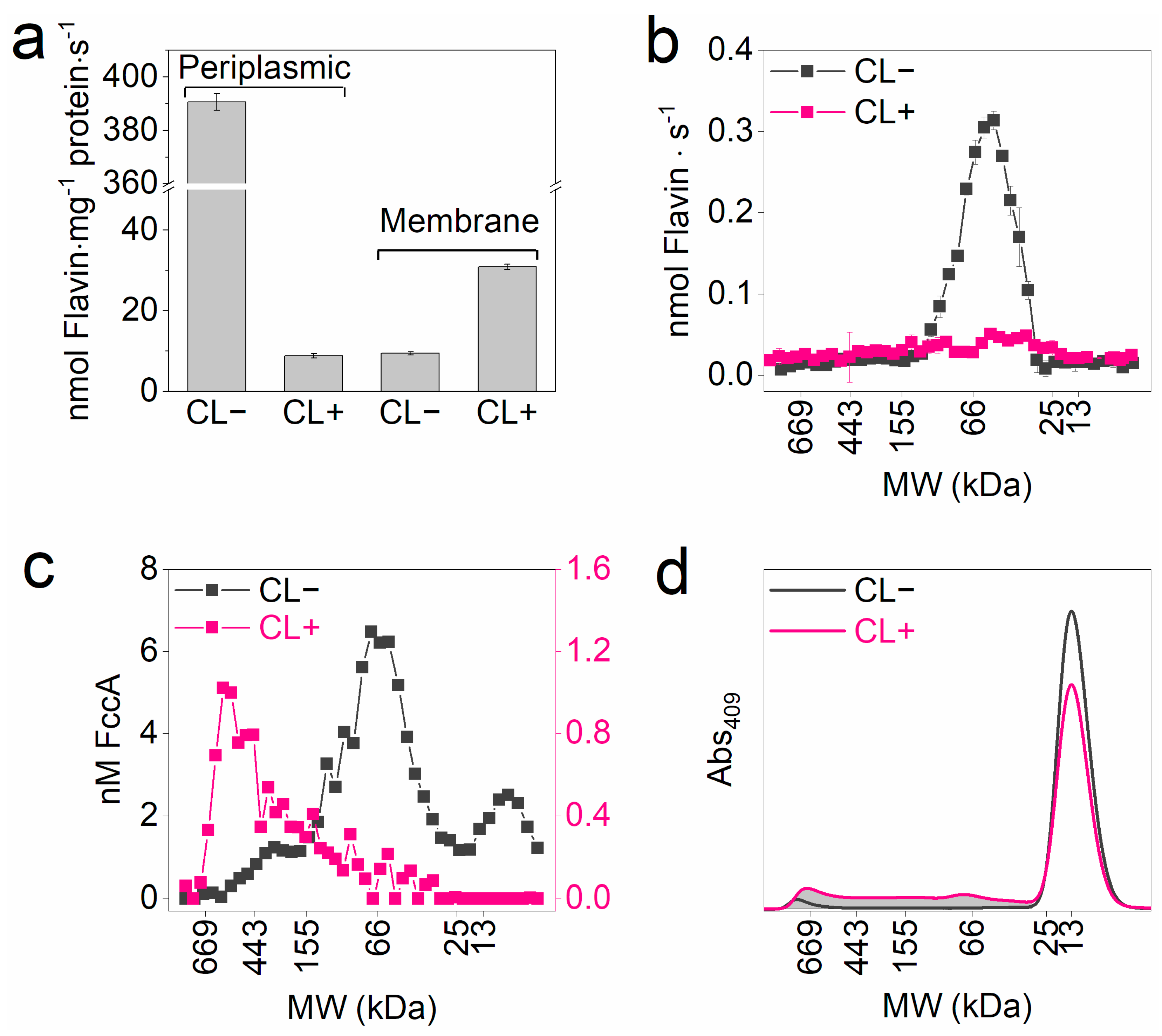 Microorganisms 13 01144 g004