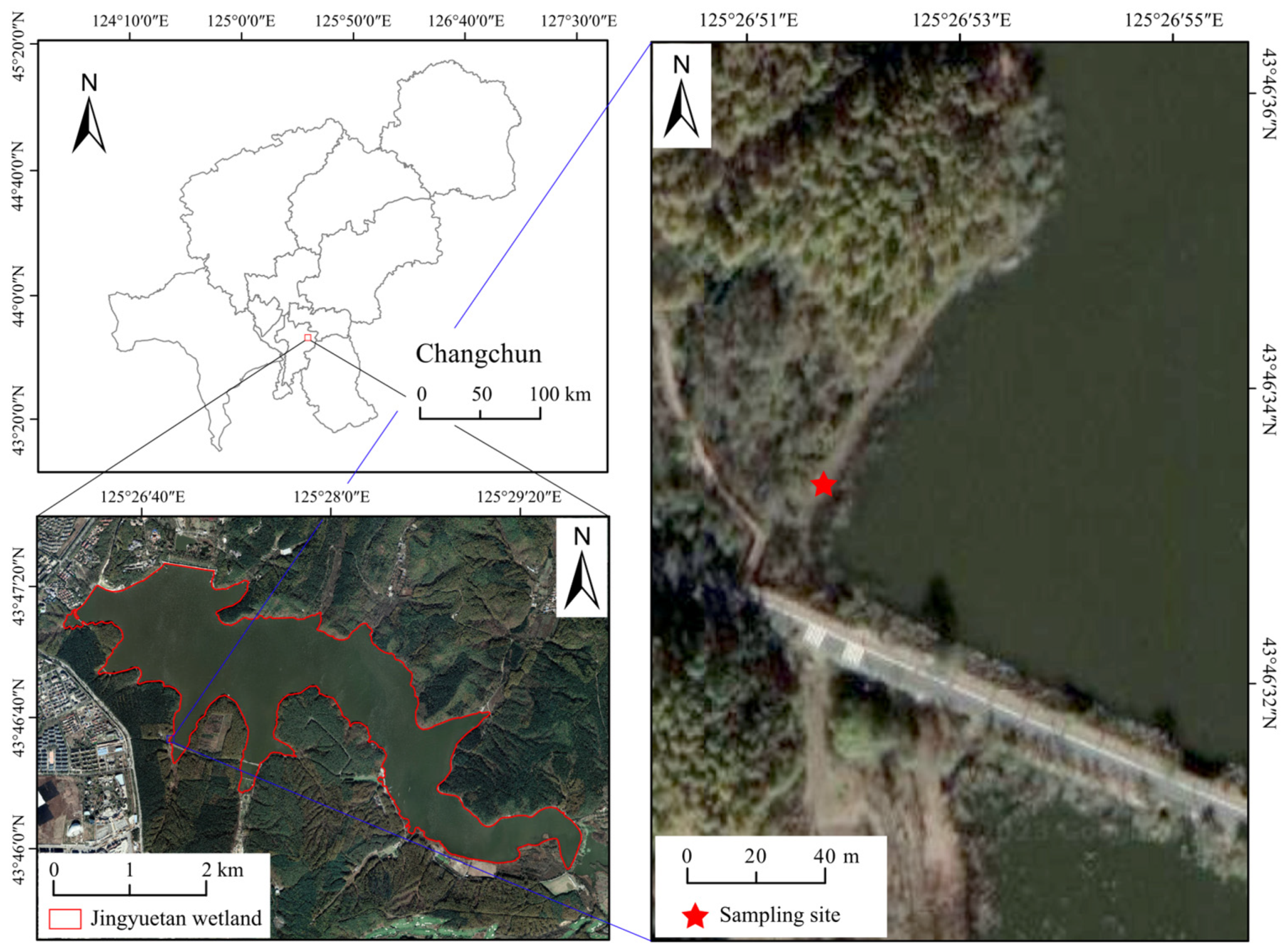 Microorganisms 13 01146 g001