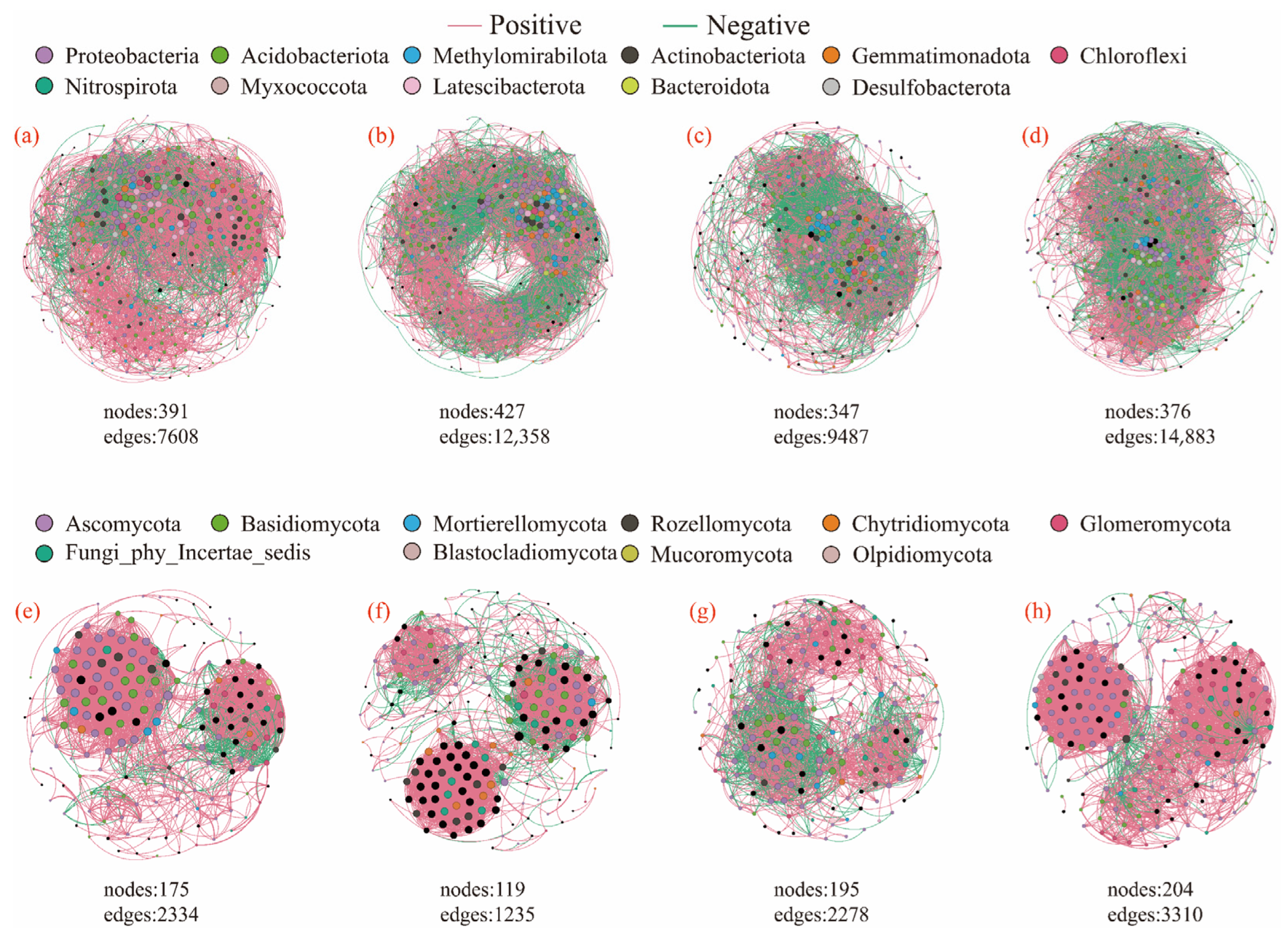 Microorganisms 13 01146 g005