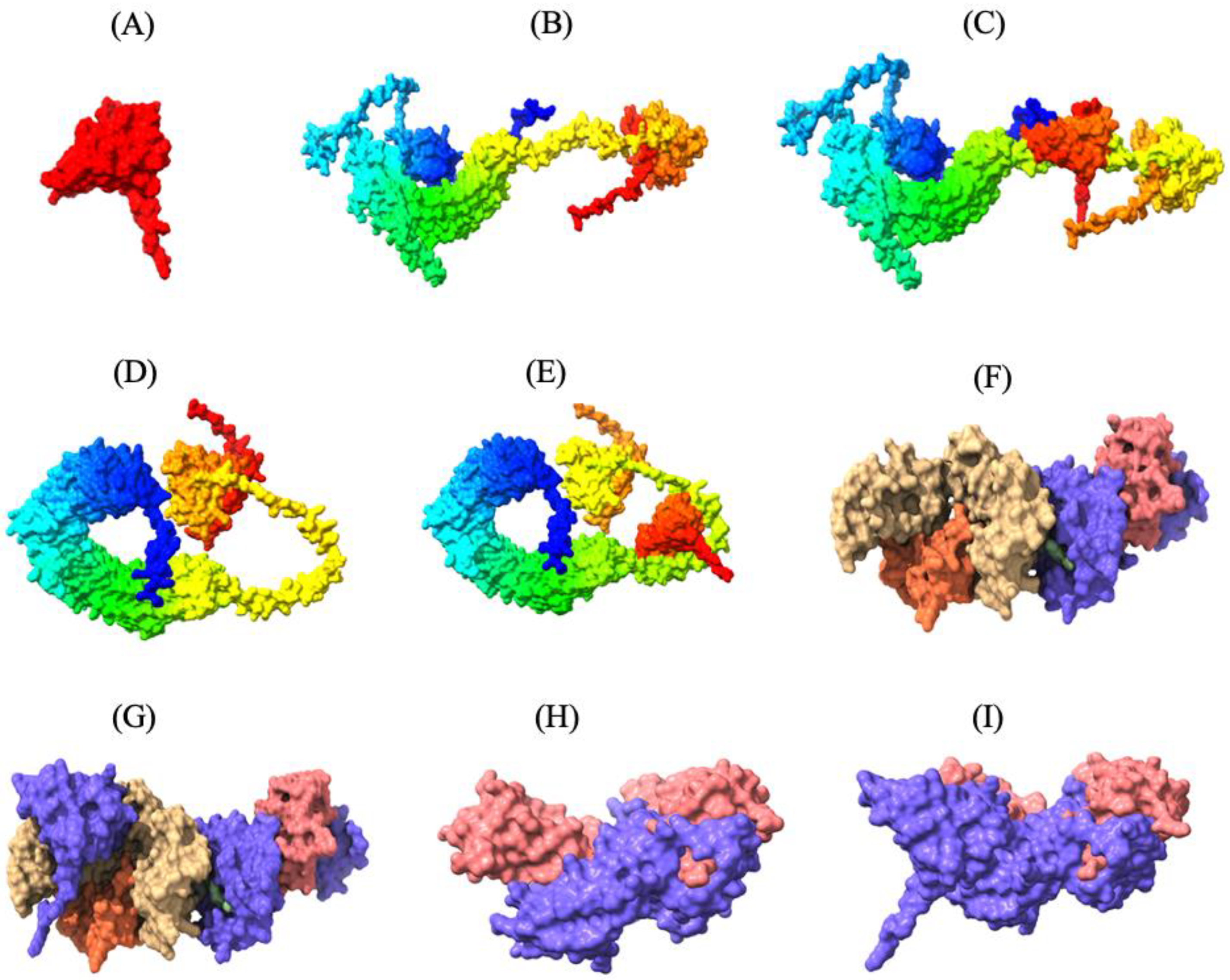 Microorganisms 13 01147 g003