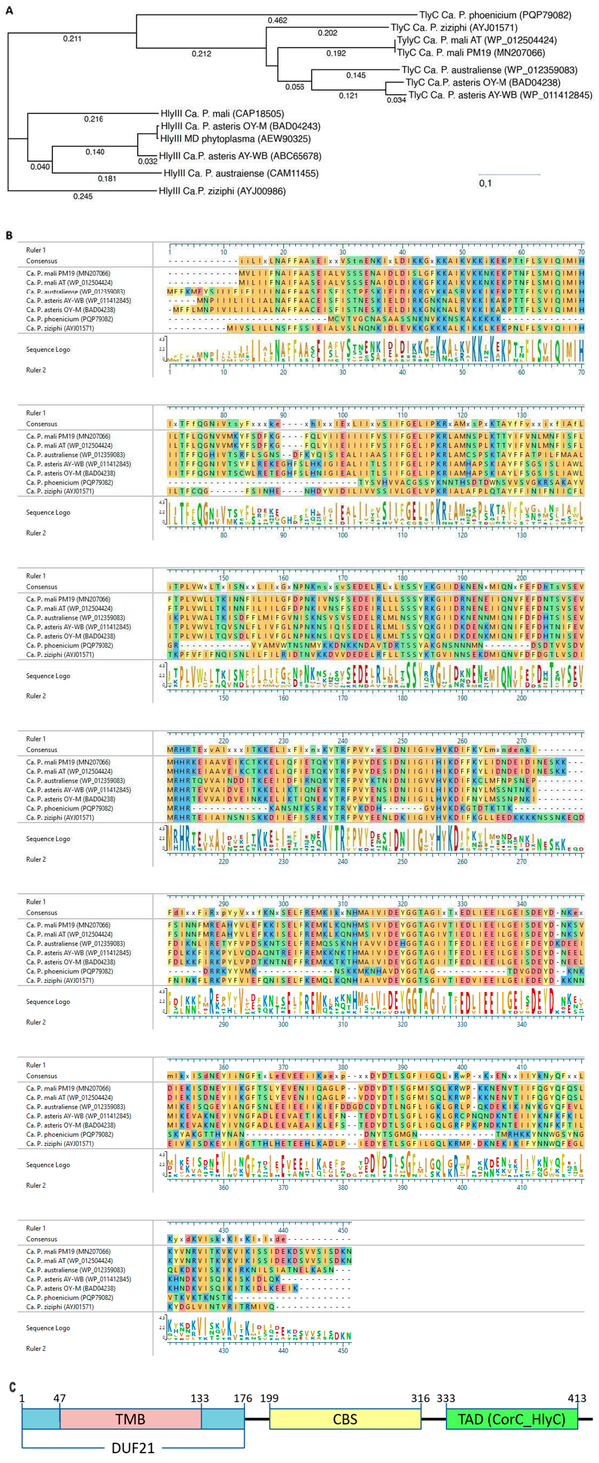 Microorganisms 13 01150 g001