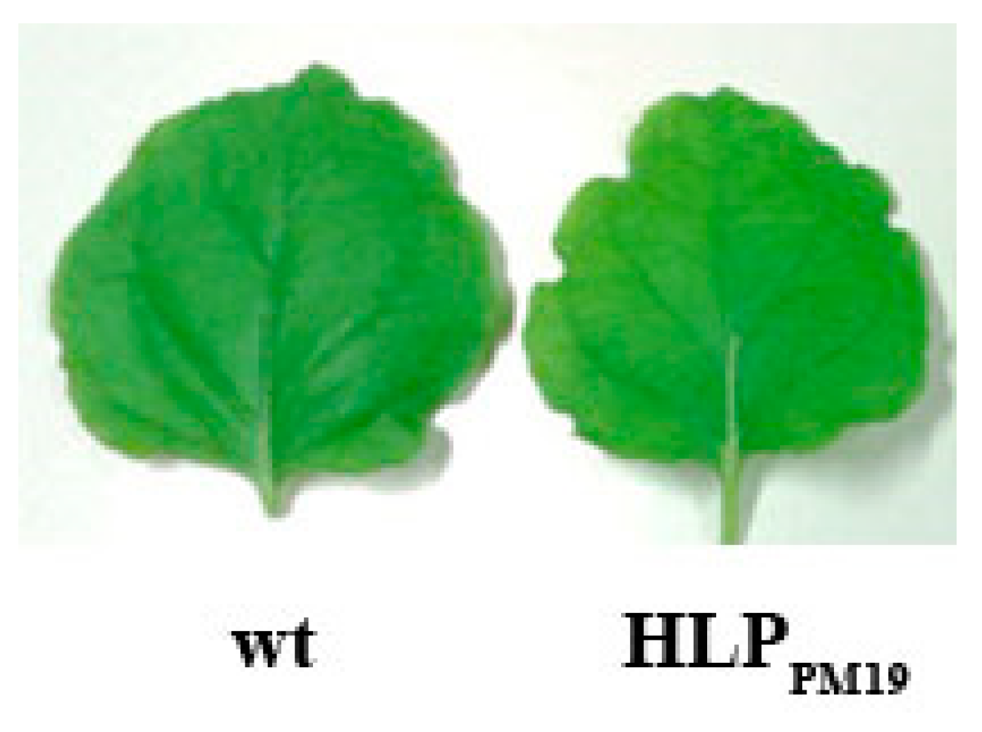 Microorganisms 13 01150 g002