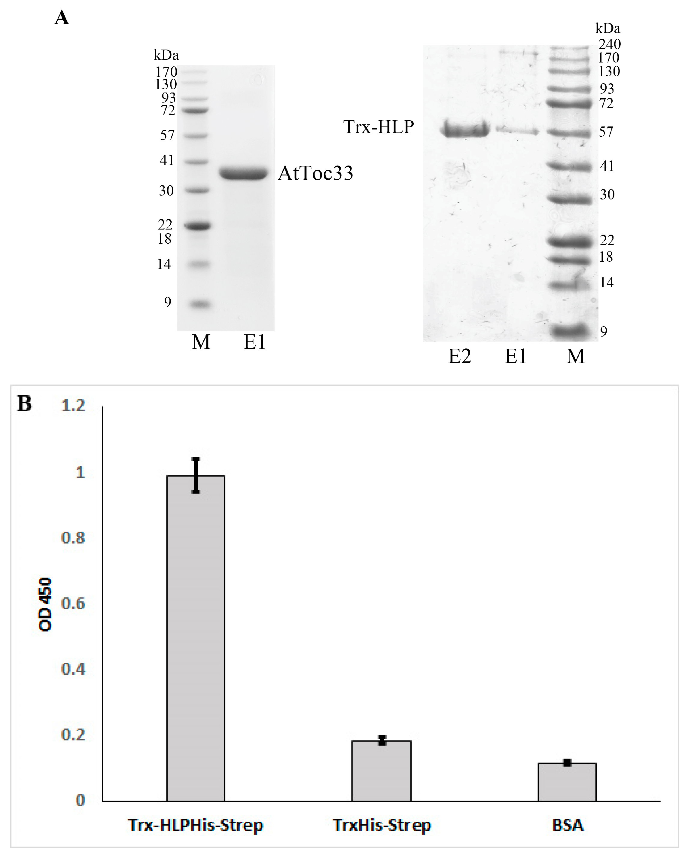 Microorganisms 13 01150 g005