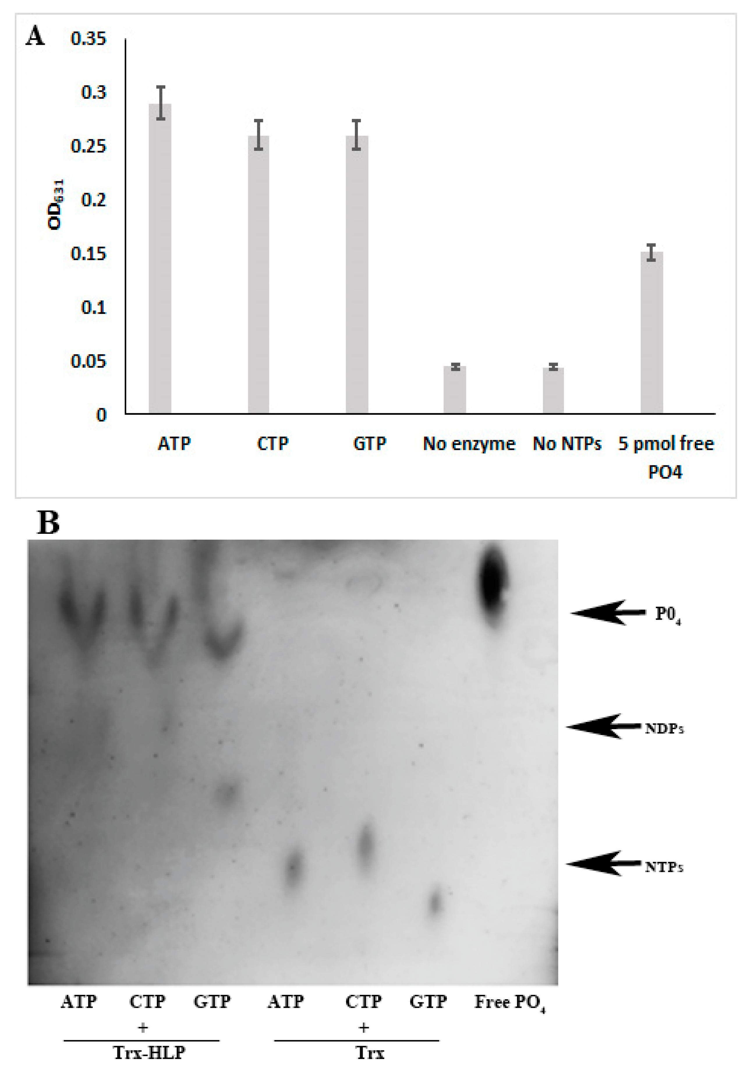 Microorganisms 13 01150 g007